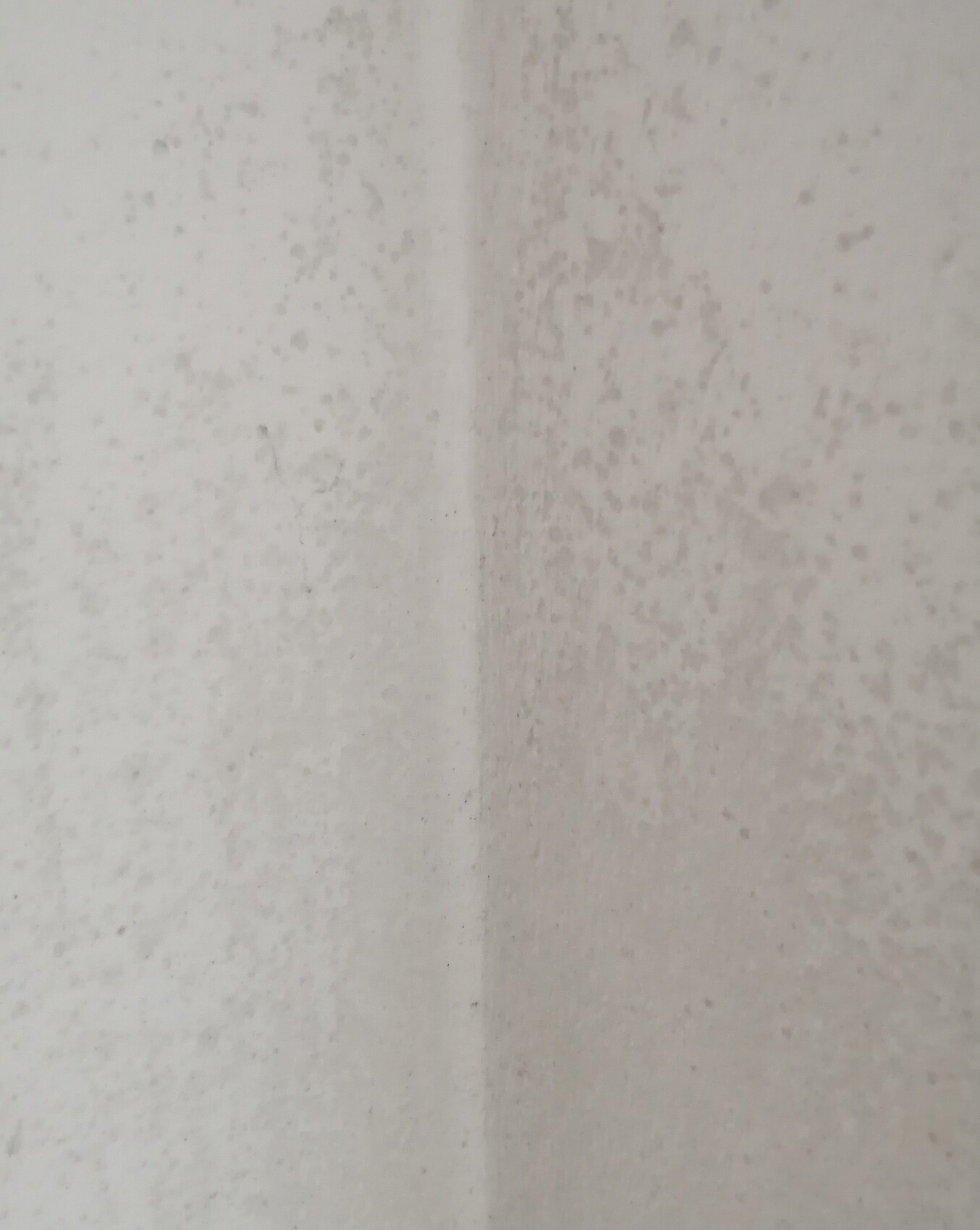 View of a light gray wall with many small stains and a vertical seam.