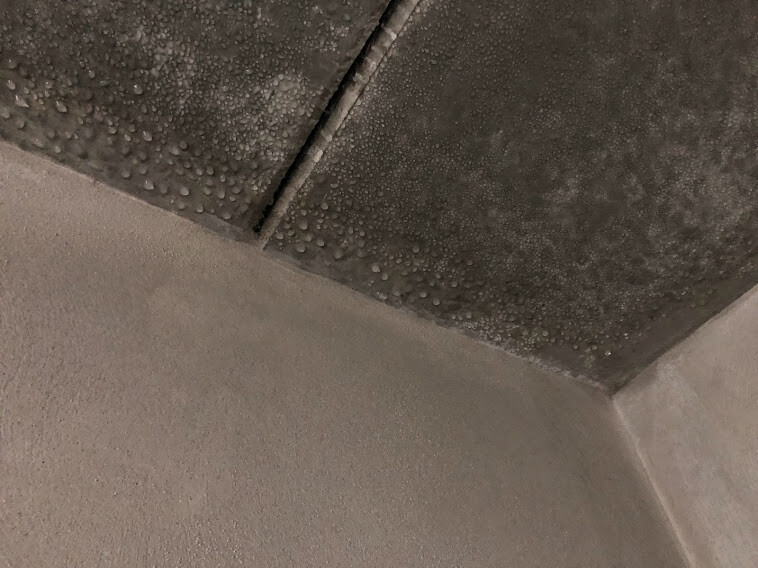Corner view: dark ceiling panels with water droplets above a light wall.