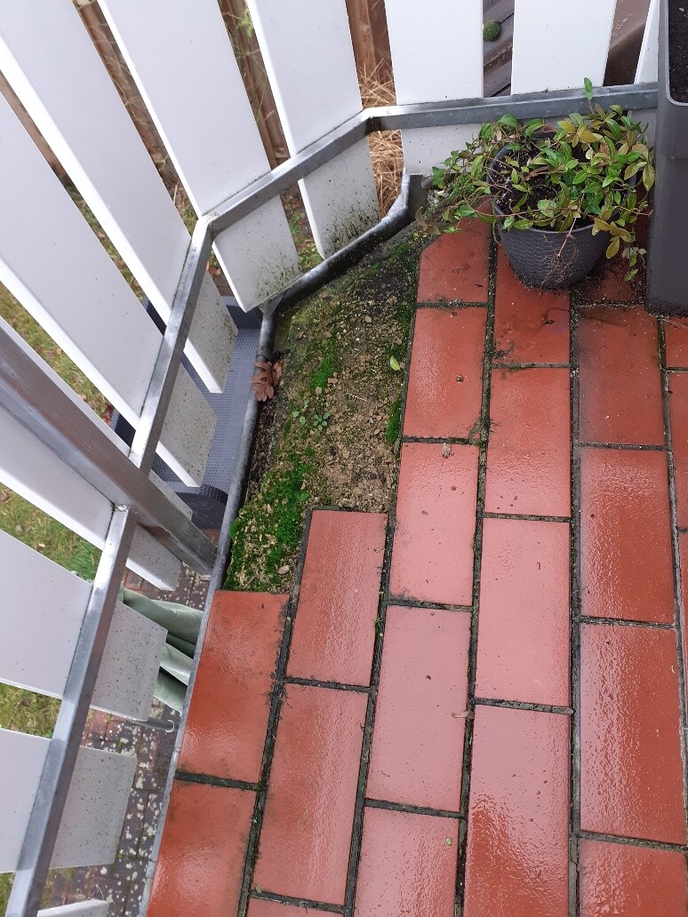 Balkon mit roten Fliesen, Moos am Rand, Topfpflanze im grauen Topf neben dem Geländer.