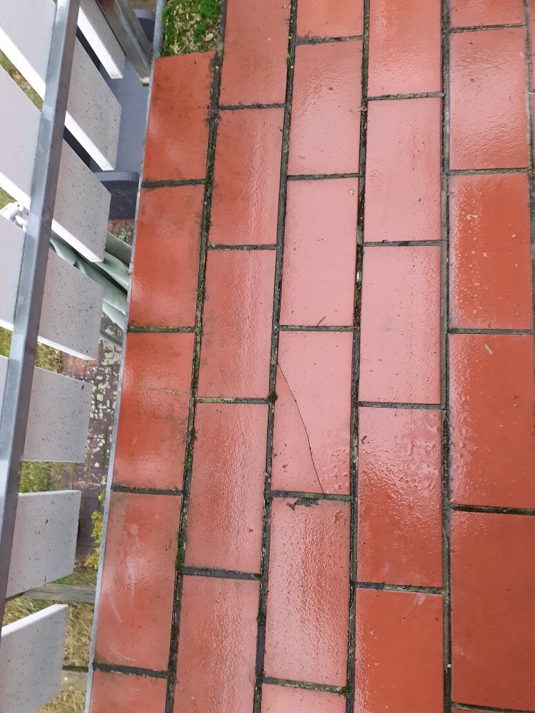 Feuchte rote Pflastersteine neben einem grauen Geländer, Moos in den Fugen.