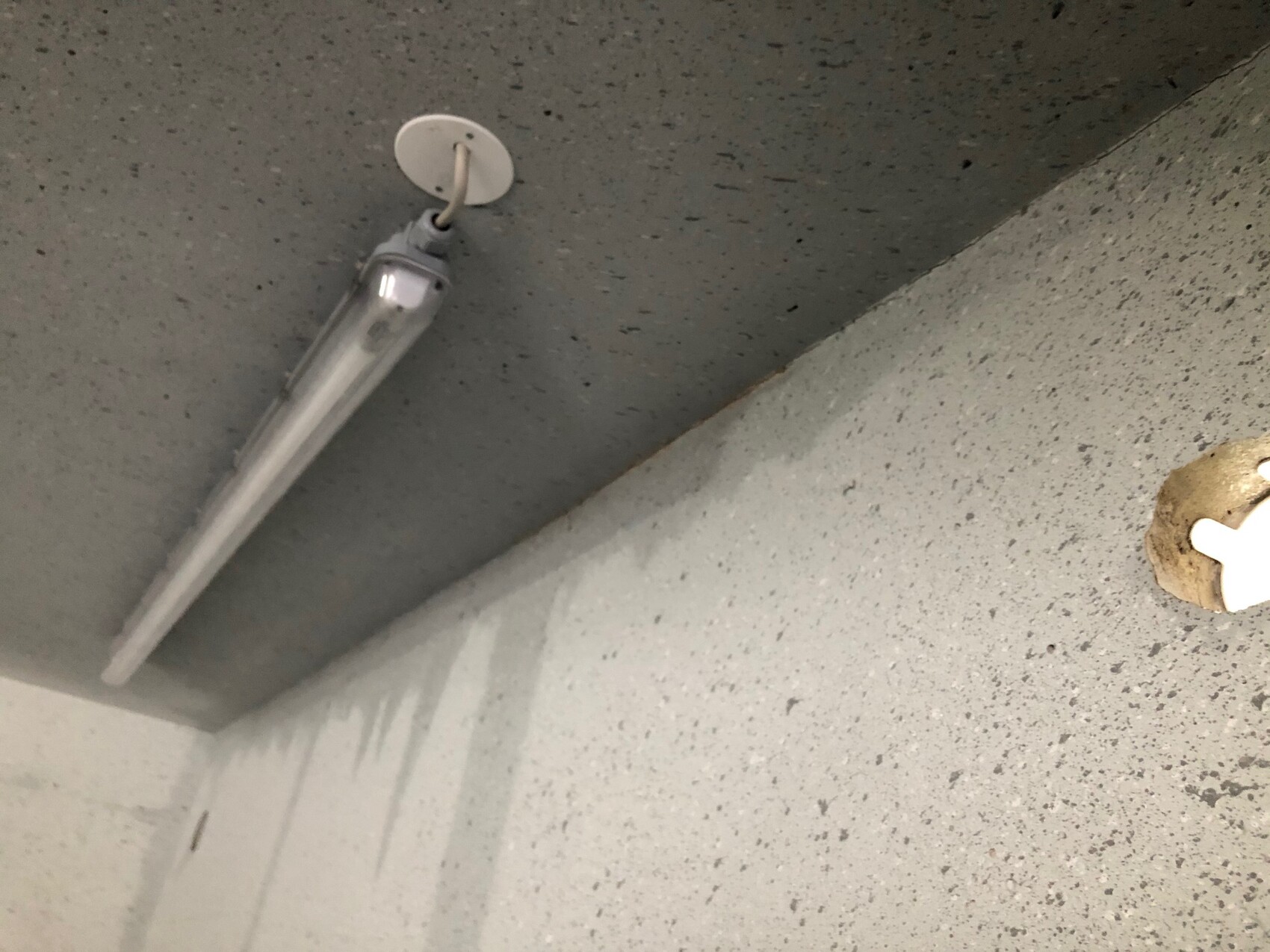 Lange Leuchtstofflampe an grauer Beton-Decke; daneben ein Ventil am Wandbereich sichtbar.