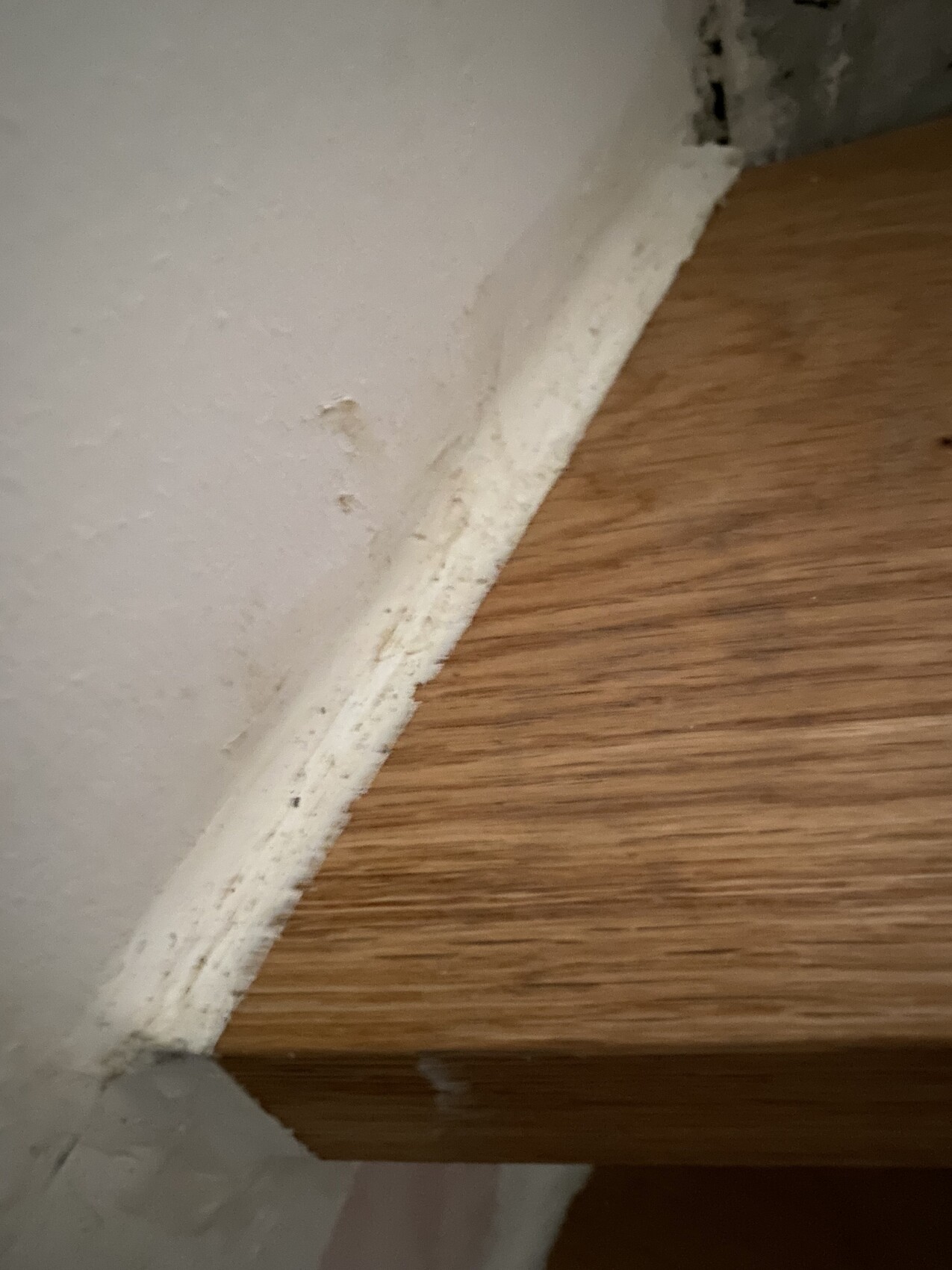 White wall with baseboard over wooden floor; dust on the baseboard.