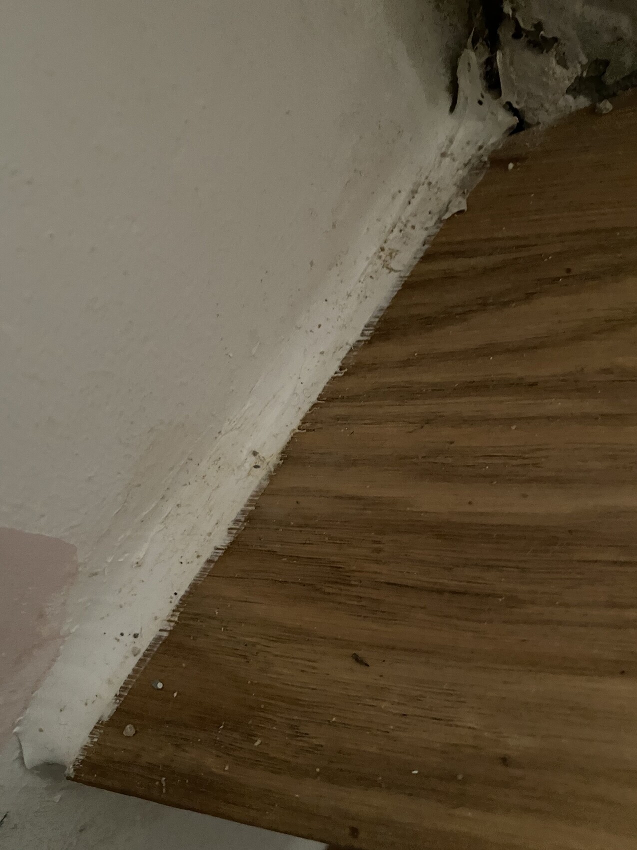 Wooden floor at a white, damaged wall side with dusty baseboard in the corner.