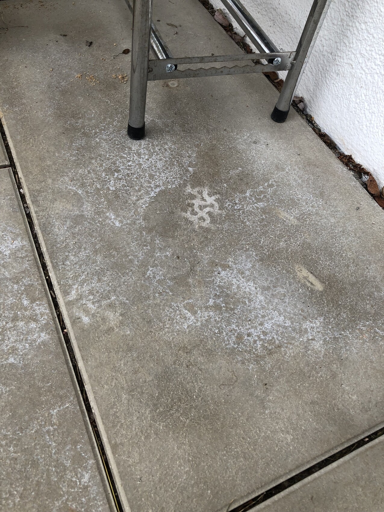 Metal stepladder standing on a concrete floor in front of a white wall; lime stains cover the surface.