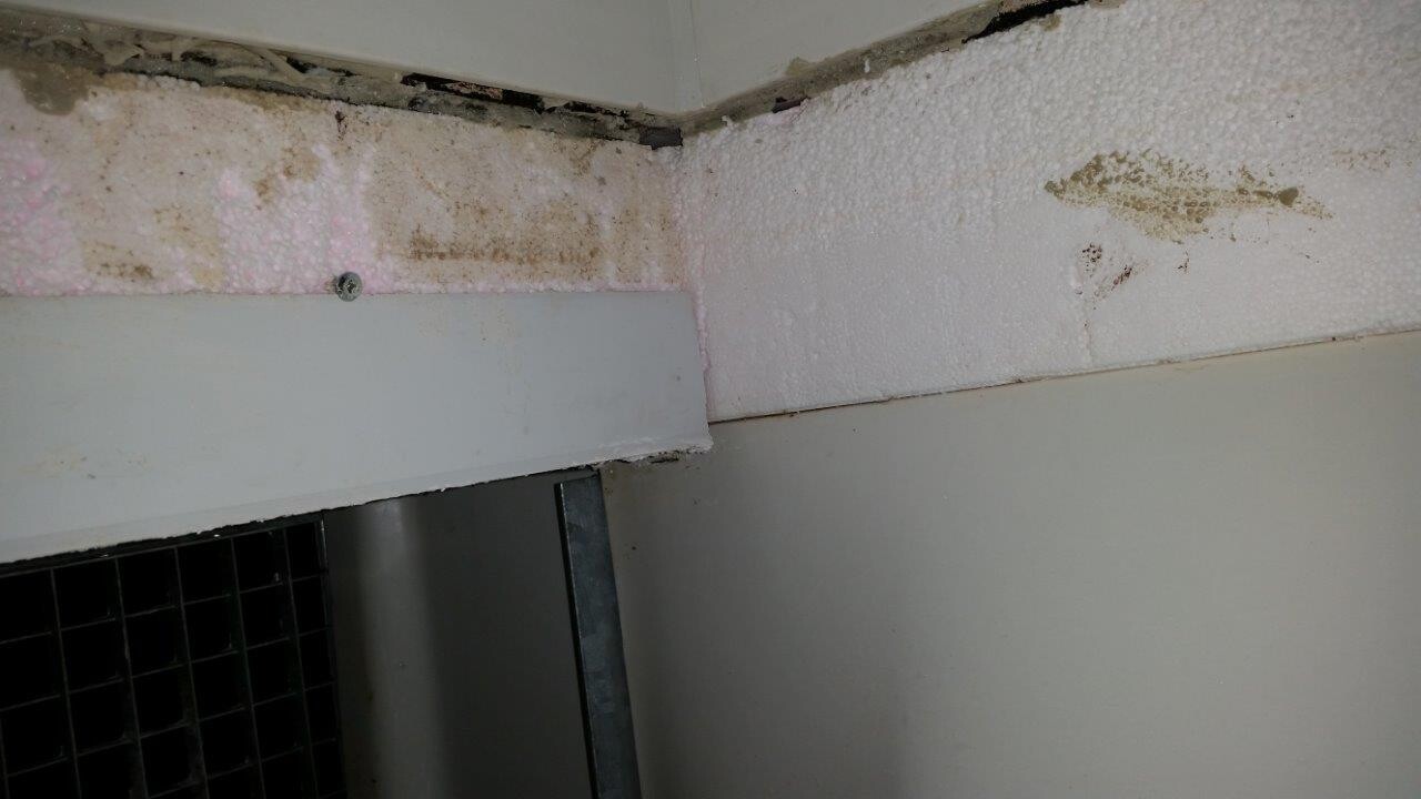 Damaged wall surface with plaster loss, visible polystyrene insulation, and metal frame at the bottom