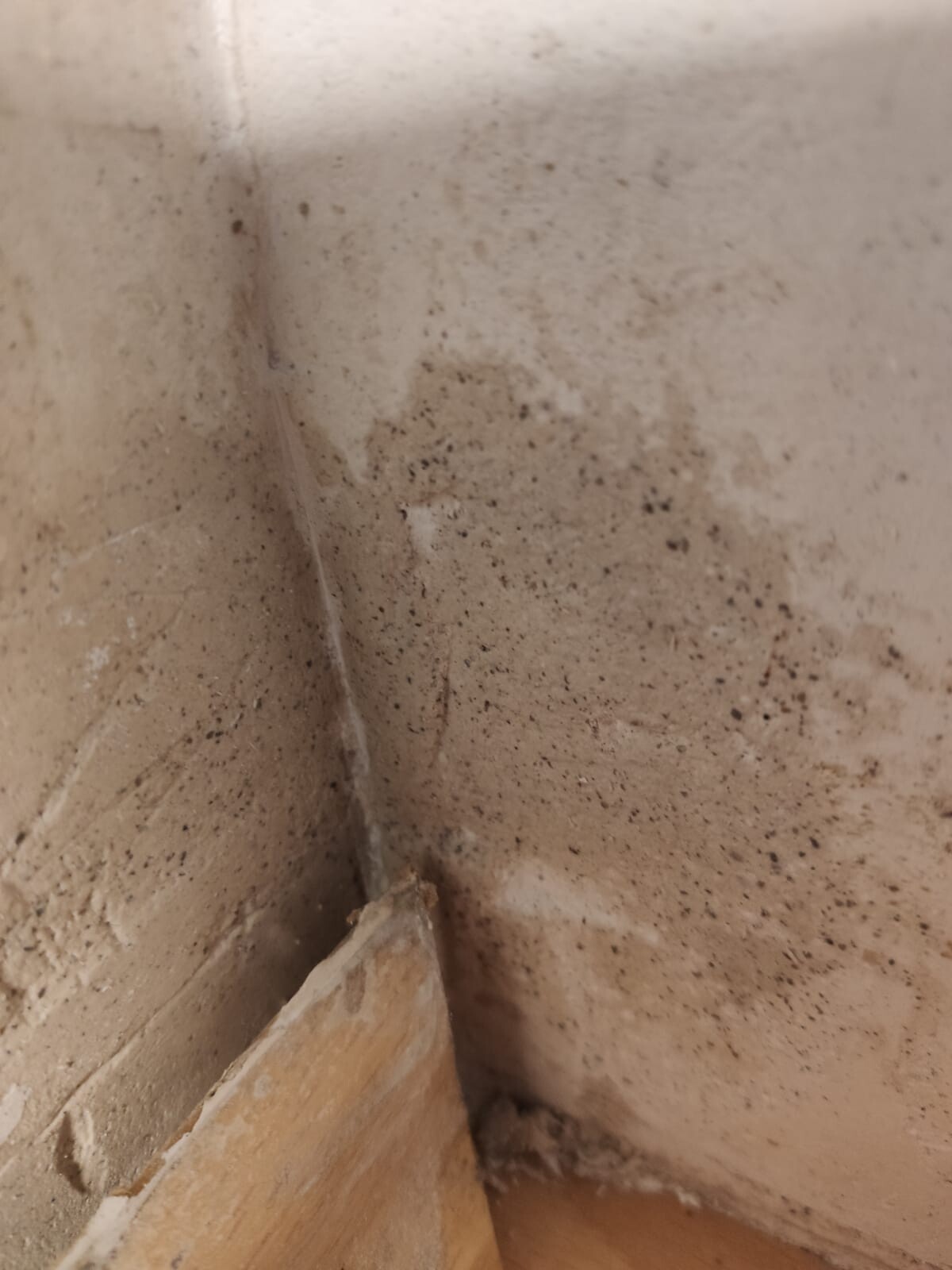 Dusty wall and corner area with dark stains, wooden floor trim at the bottom.