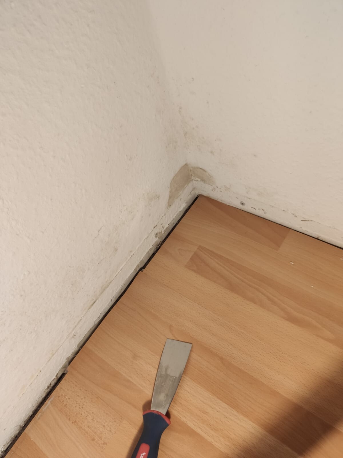 Corner edge of a white wall with dirt, wooden floor, putty knife lying on the floor