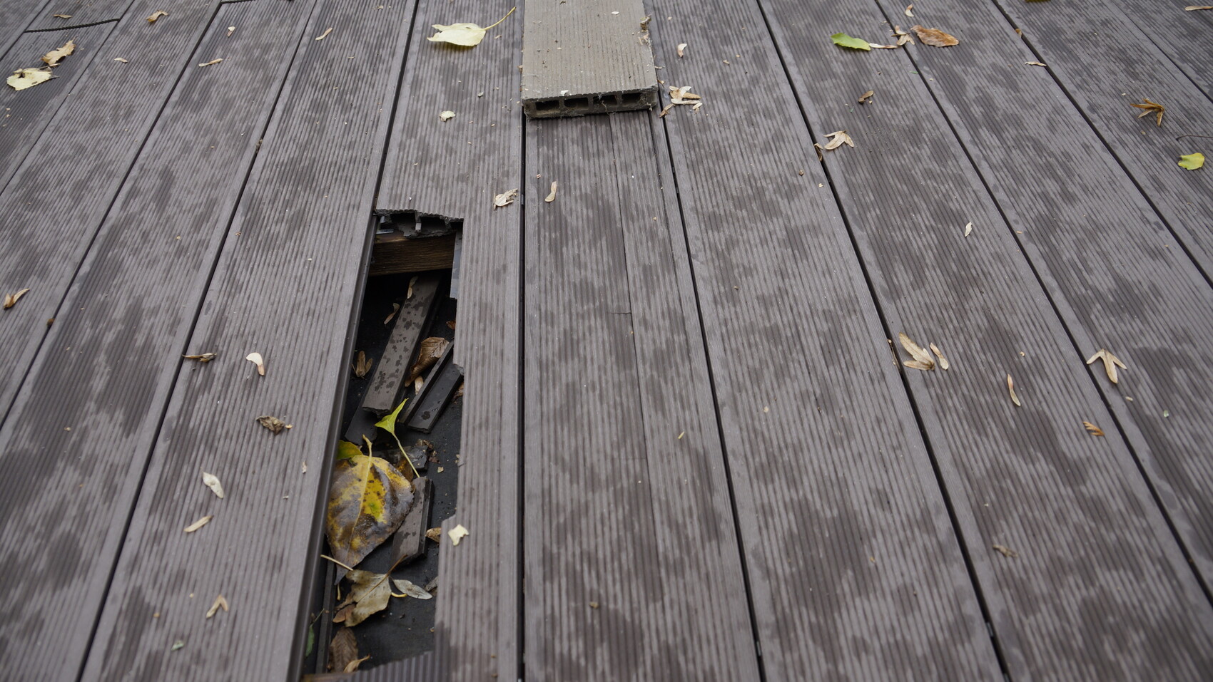 Wood deck with missing board; open gap shows cavity and leaves.