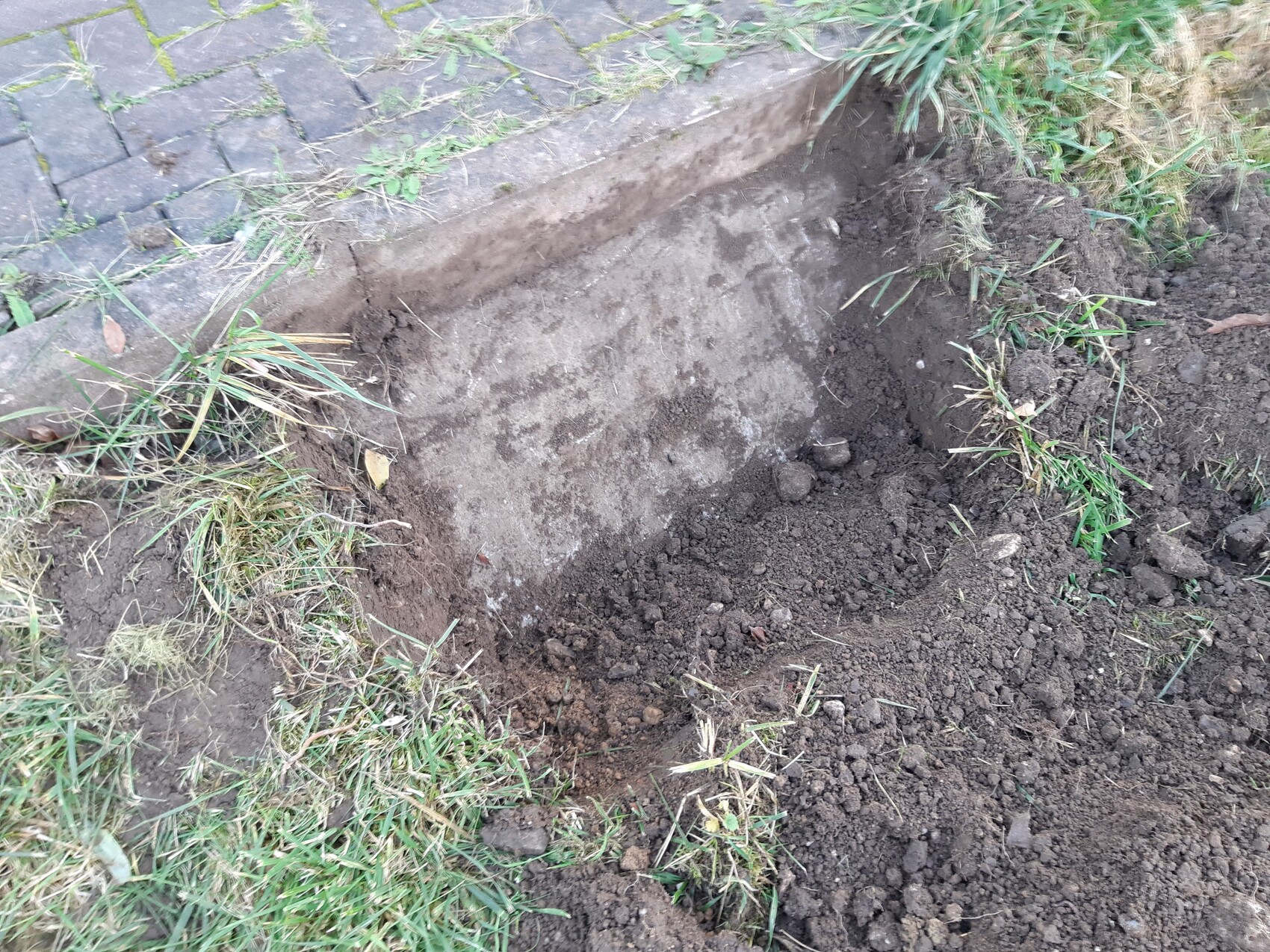 Excavated earth pit next to a paved curb; surrounding soil and grass visible.