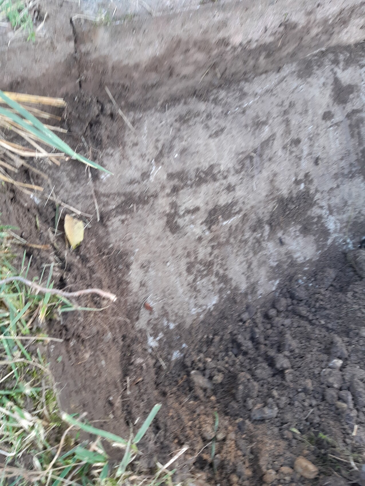 Pit in the garden with exposed soil layer, loose earth and grass at the edge.