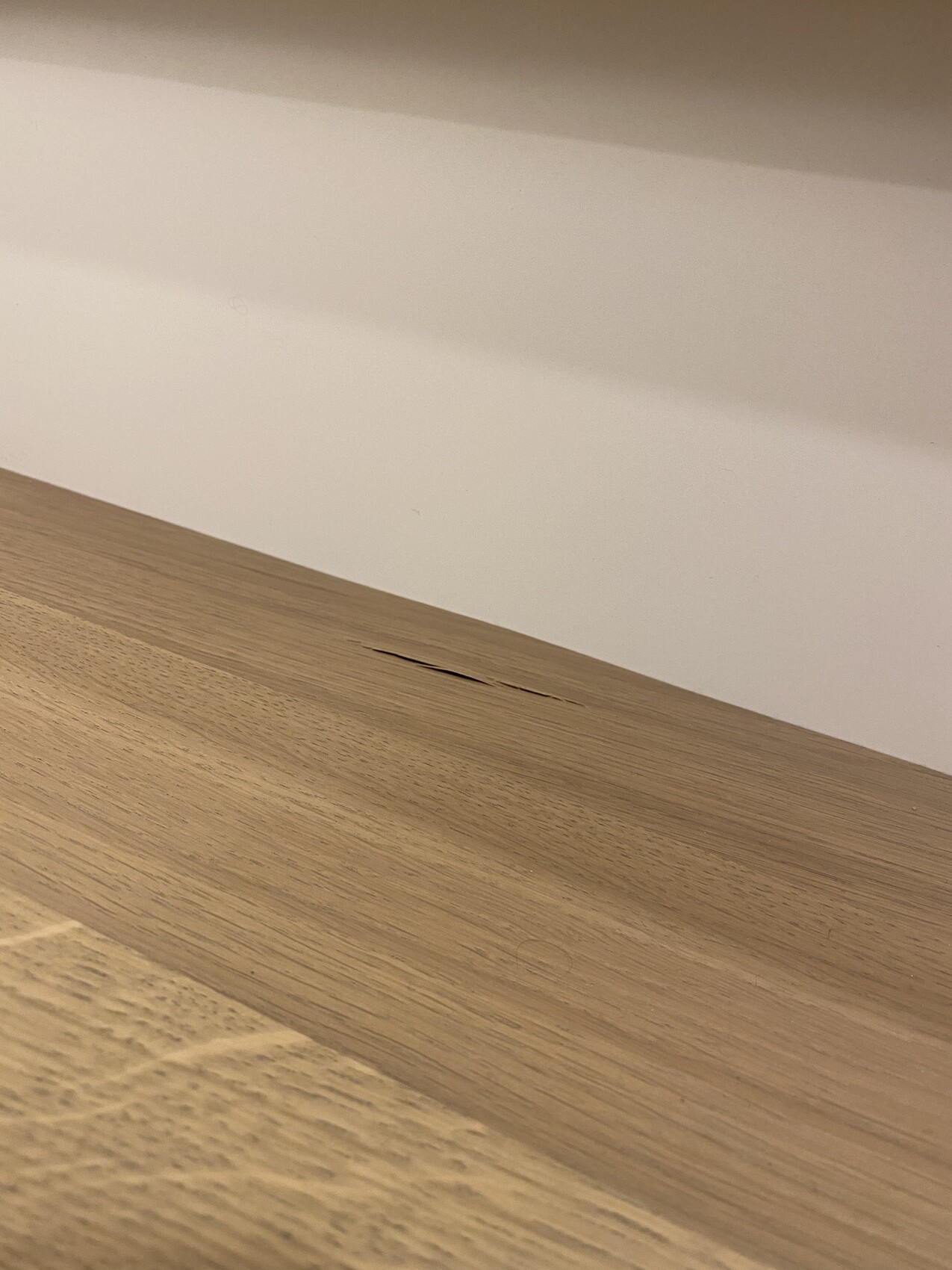 Heller Holzboden mit einer kleinen Rissstelle, weiße Wand dahinter.