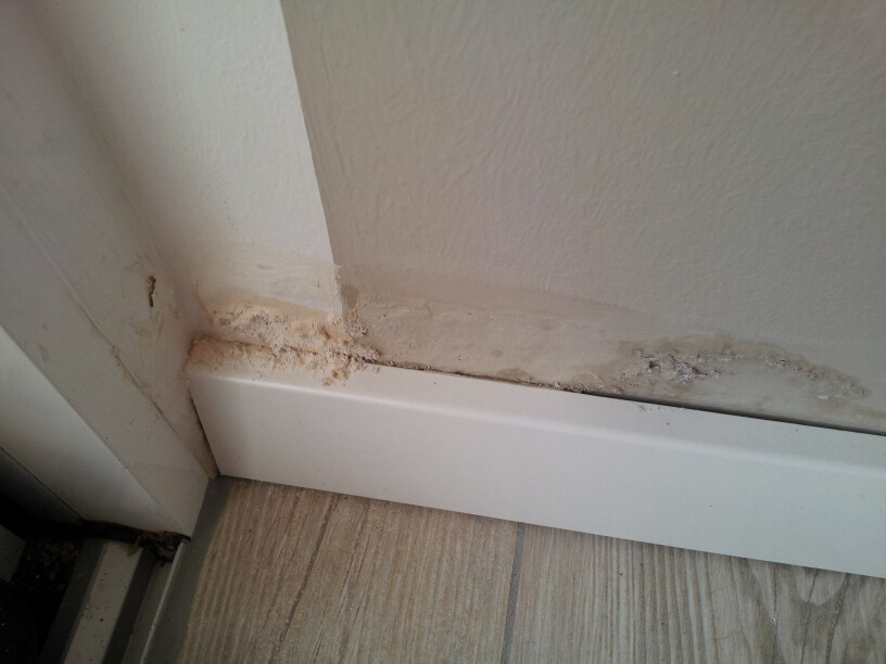Damp baseboard with mold growth at floor-wall junction (construction defects)