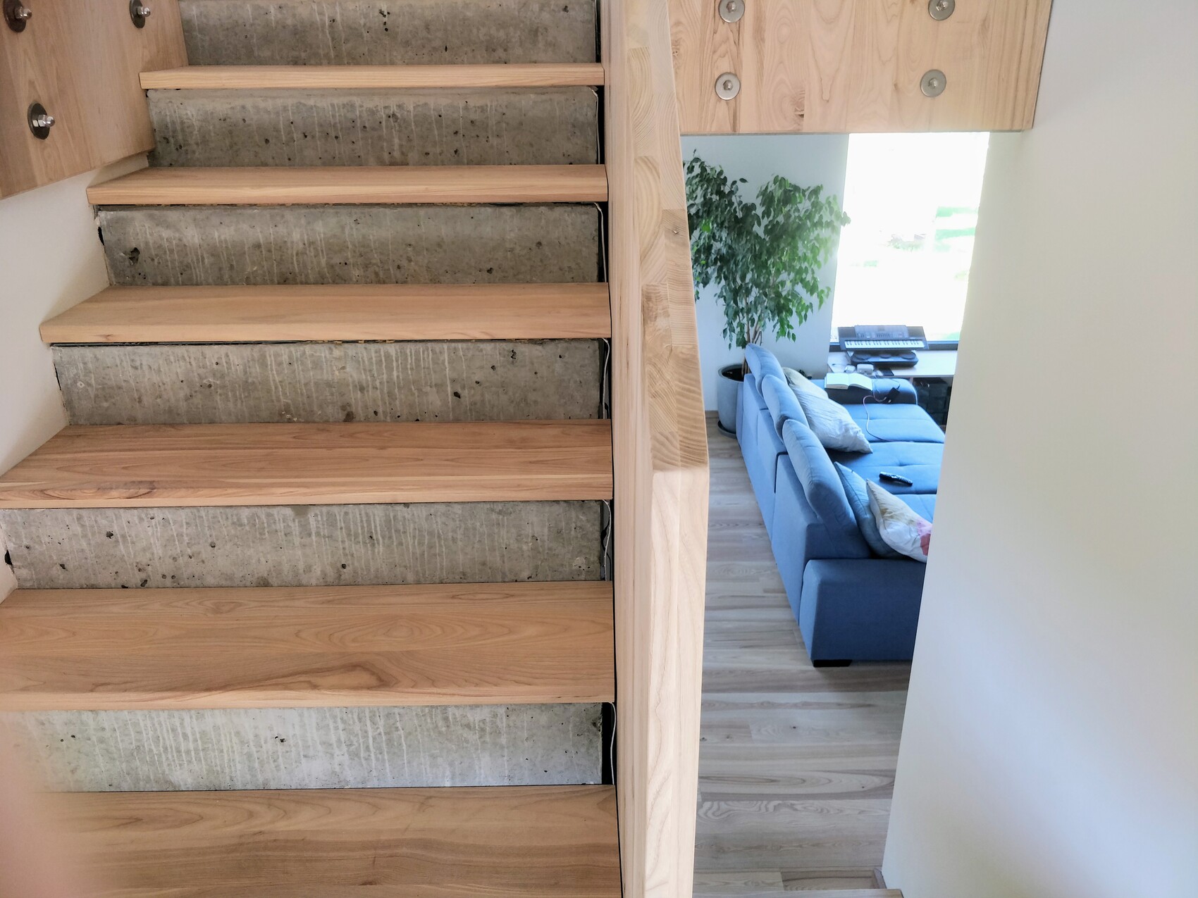 Wood staircase with exposed concrete steps next to open living area with blue sofa and plant.