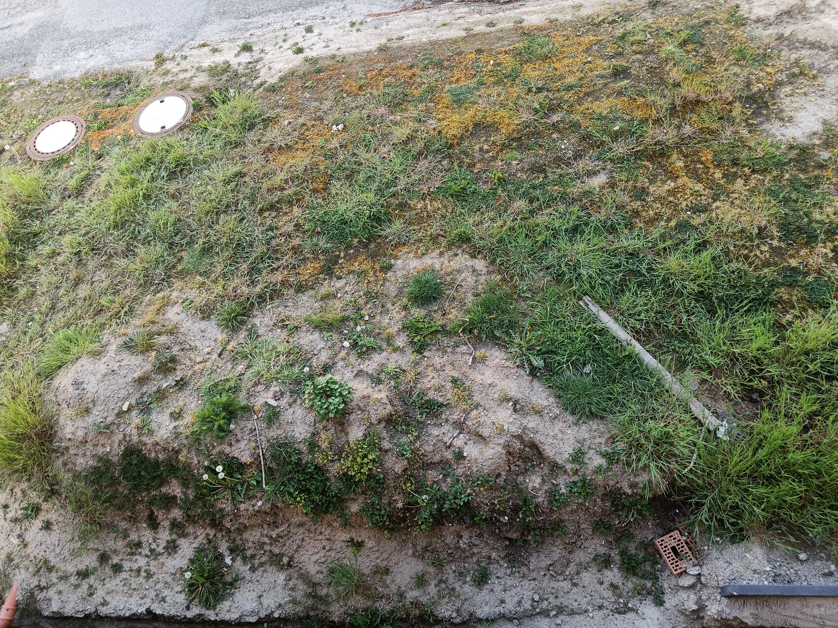 Überkopfaufnahme eines grasigen Erdwalls mit Moos, zwei runde Schachtdeckel links und einer Holzlatte.