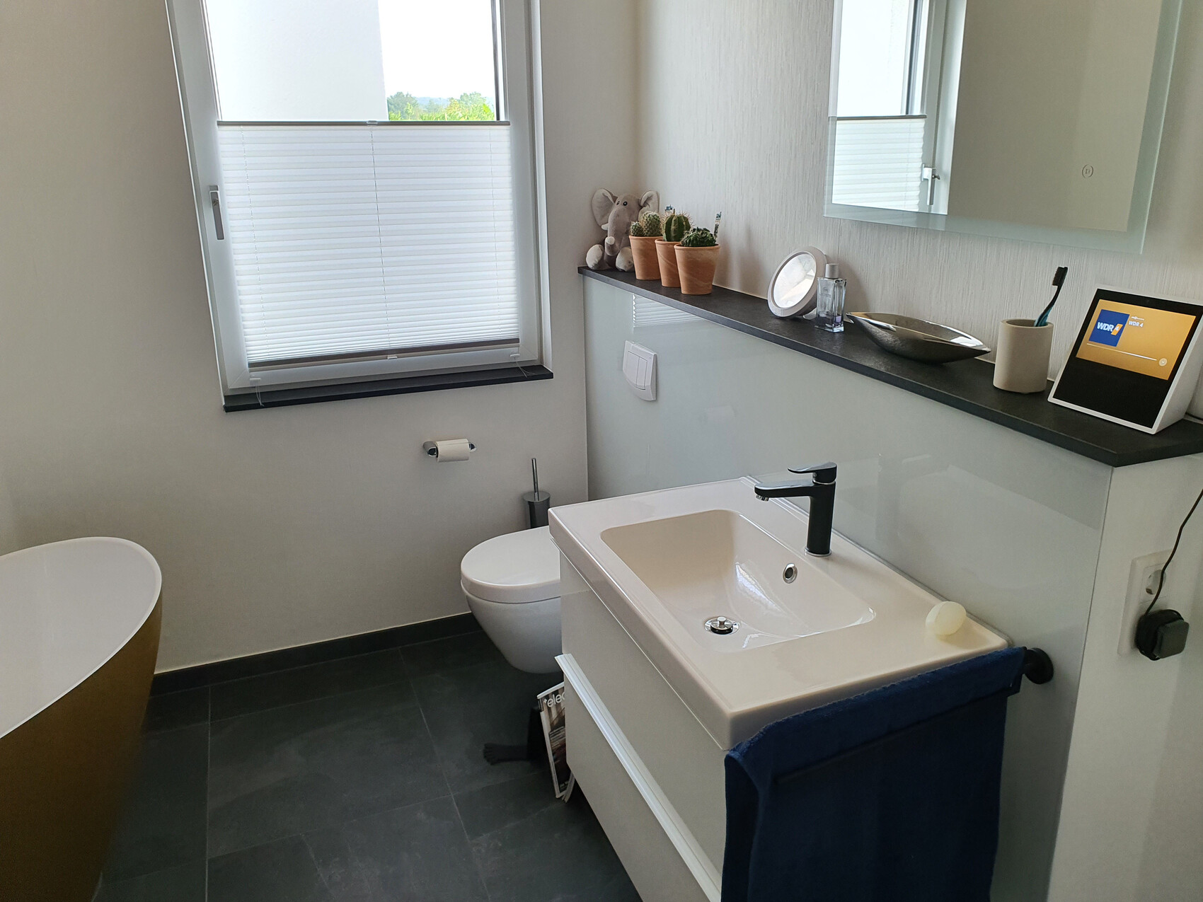 Modern bathroom with sink, toilet, window, mirror, and plant decoration