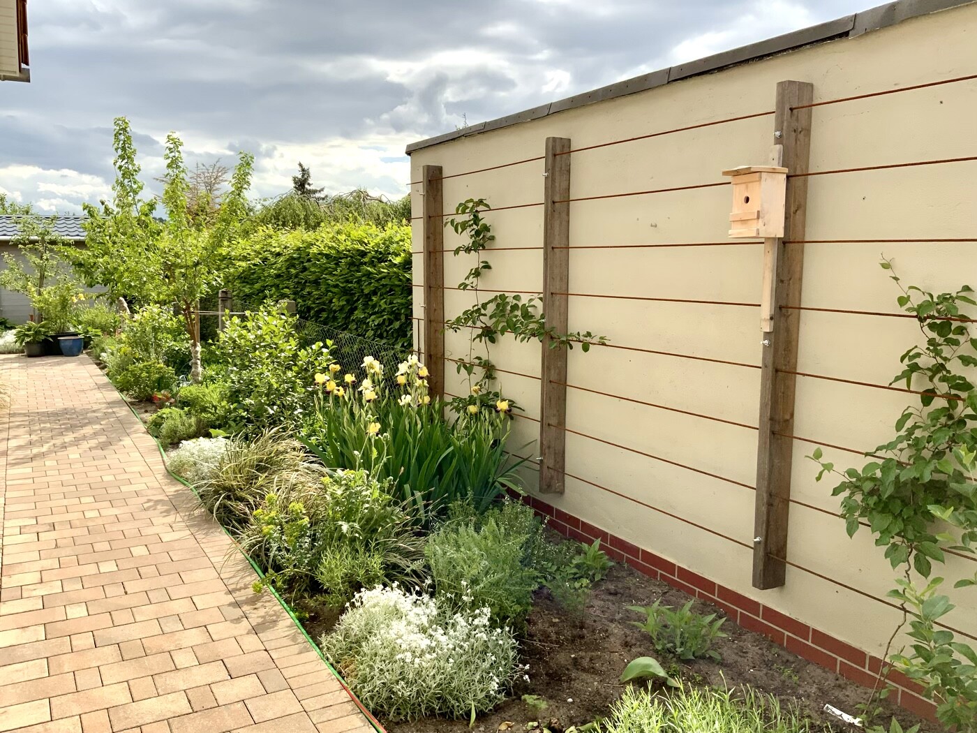 Garden path next to a wooden wall with climbing plants, floral decorations and birdhouse.