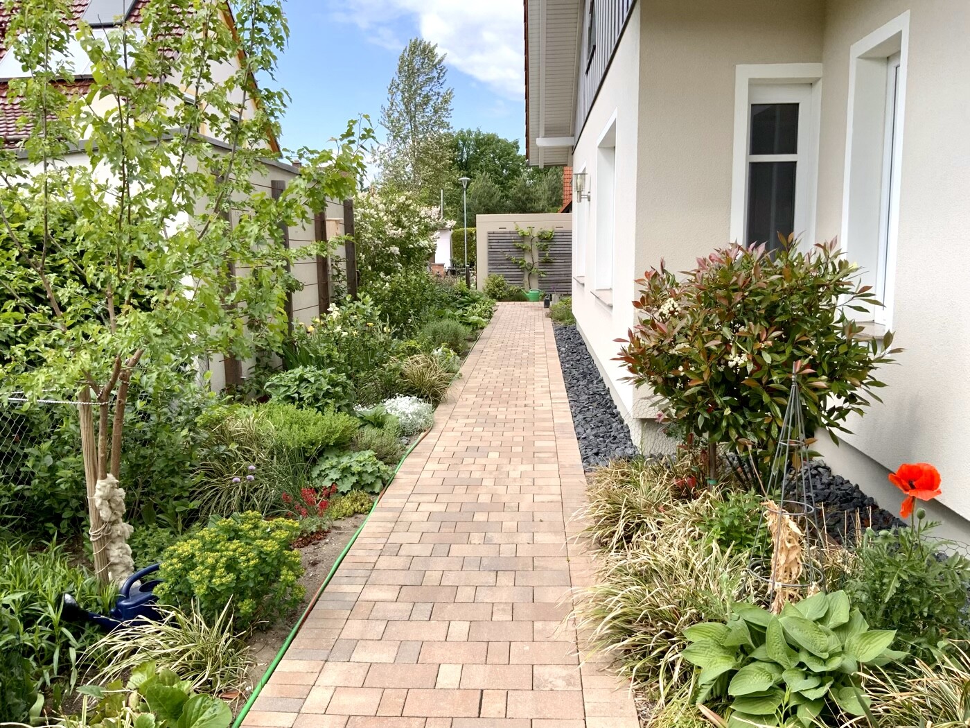 Paved garden path next to the house, flanked by trees, shrubs and colorful flowers.