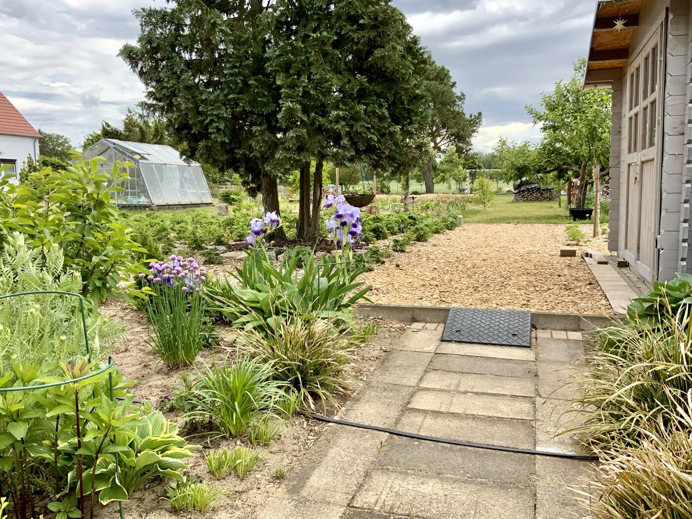 Garden path in front of the house with gravel path, greenhouse on the left and trees in the background