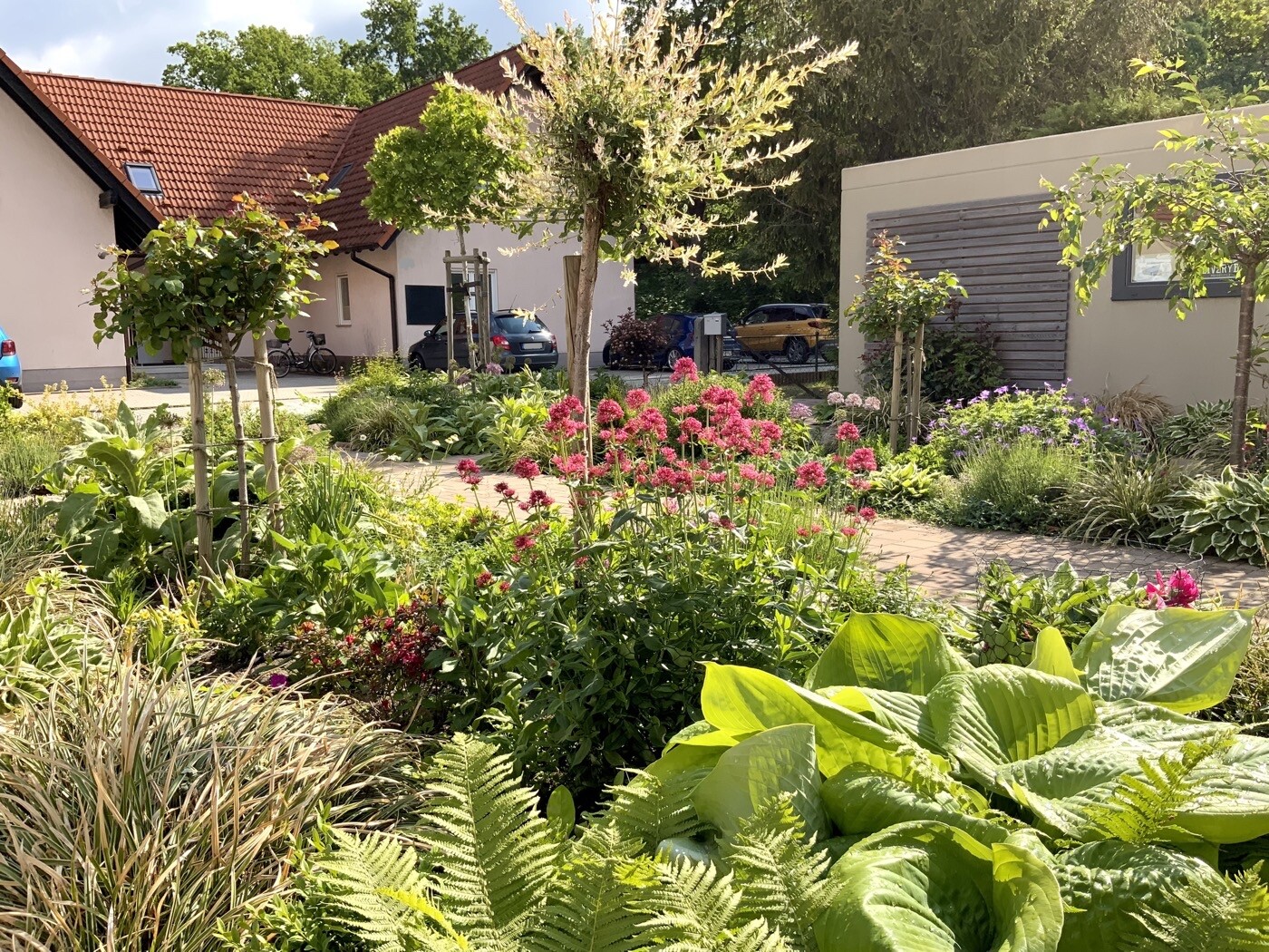 Garden with colorful flowers, wide paved path, green foliage, trees, and houses in the background.