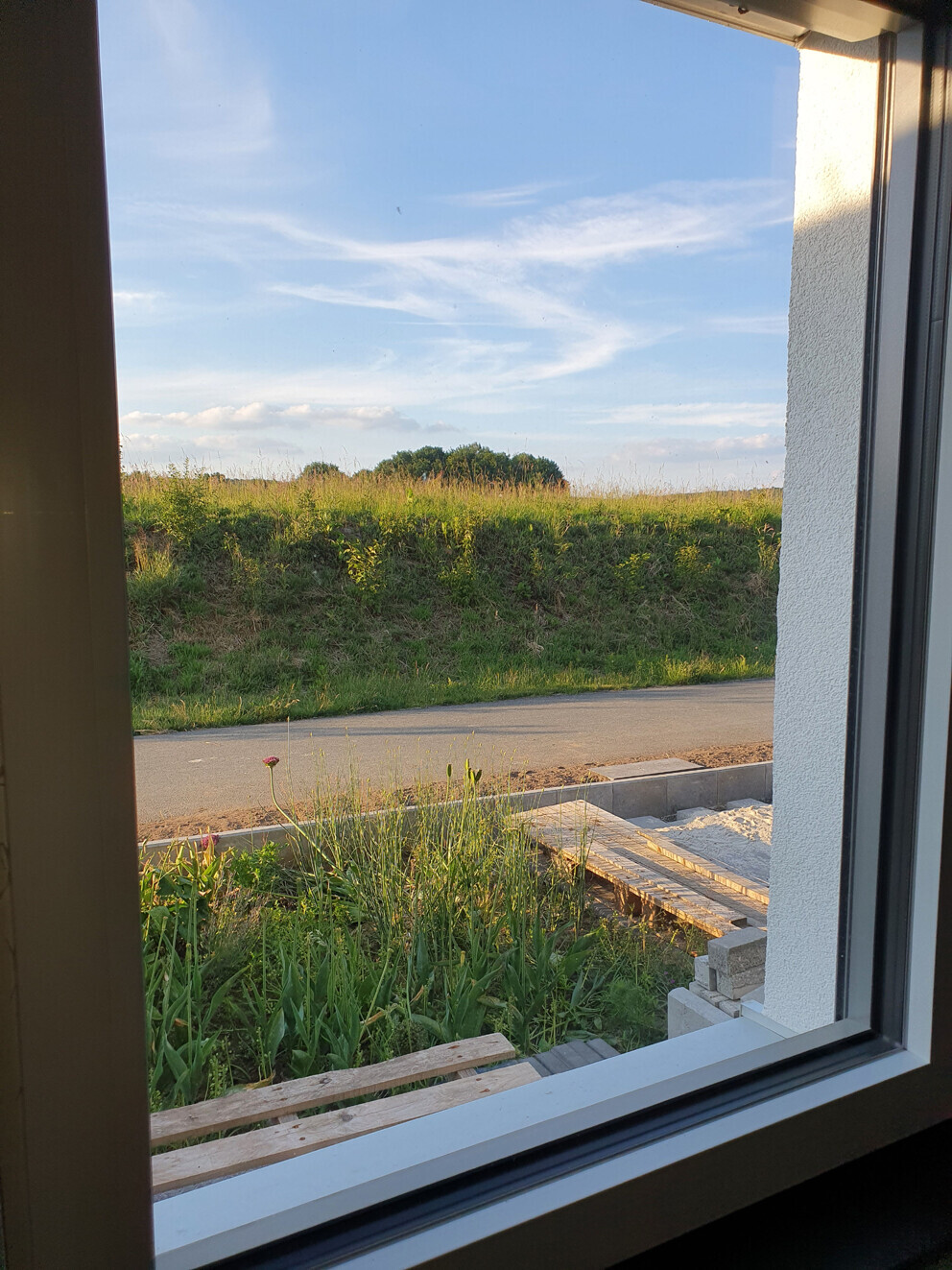 View from window onto building site with grass, street, and tree in the background