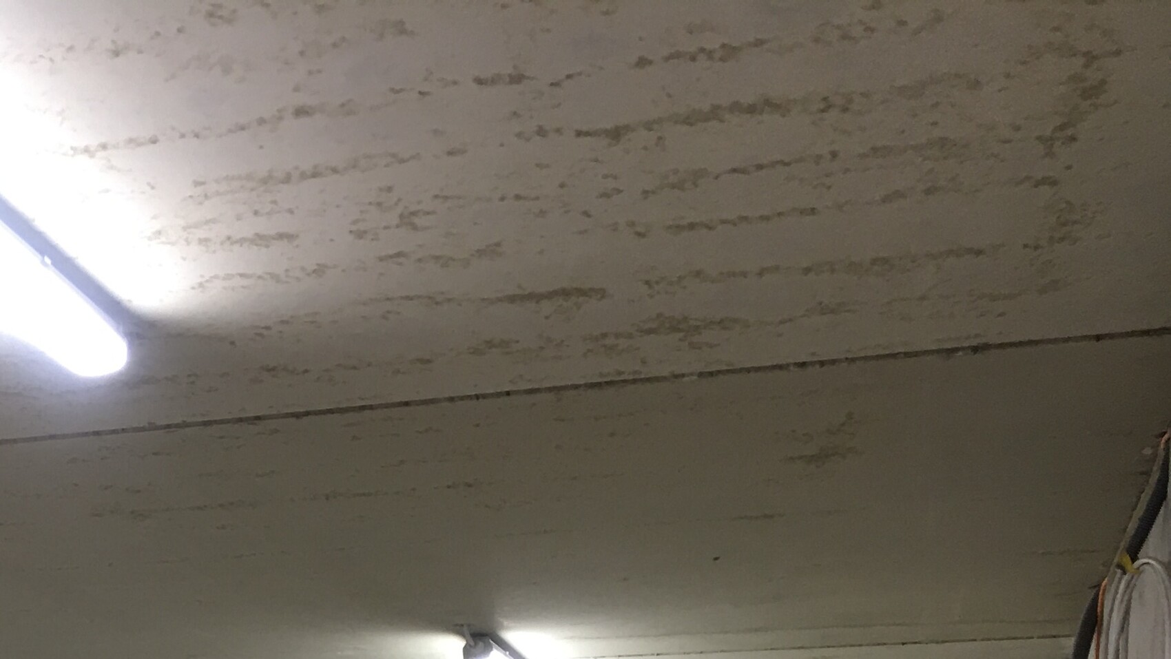 Rough, plastered concrete ceiling with a long fluorescent light on the left; objects hanging on the right.