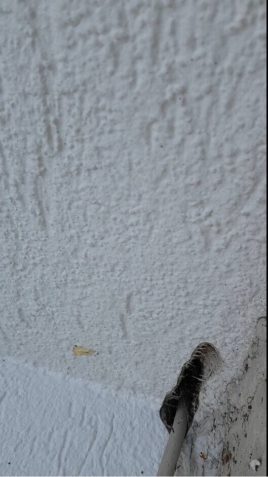 Rough, white plastered wall; bottom right a pipe/cable conduit, next to it a small yellow leaf.