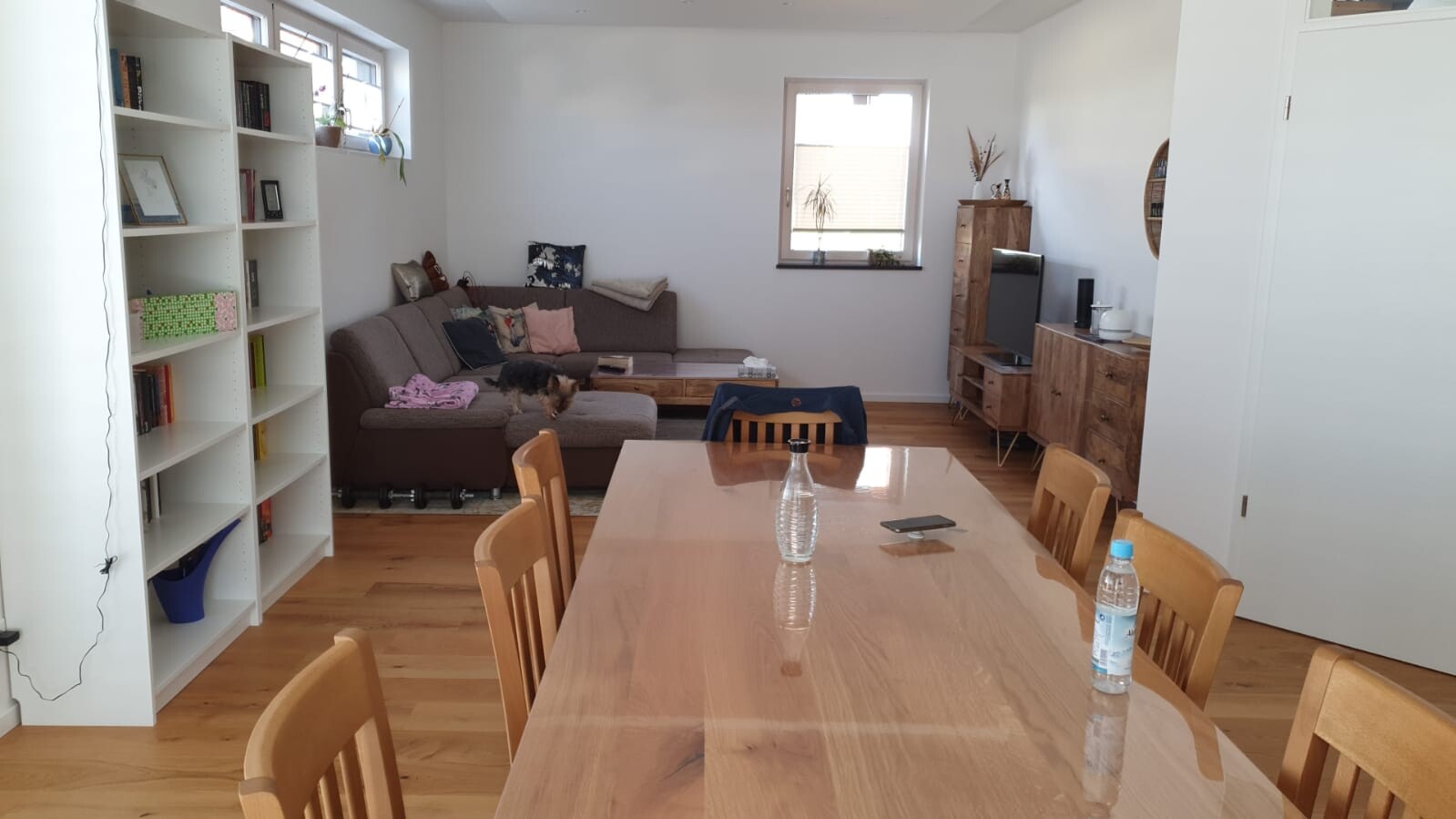 Wohnzimmer mit Holztisch im Vordergrund, Sofa links, TV-Möbel rechts, kleiner Hund neben dem Sofa.