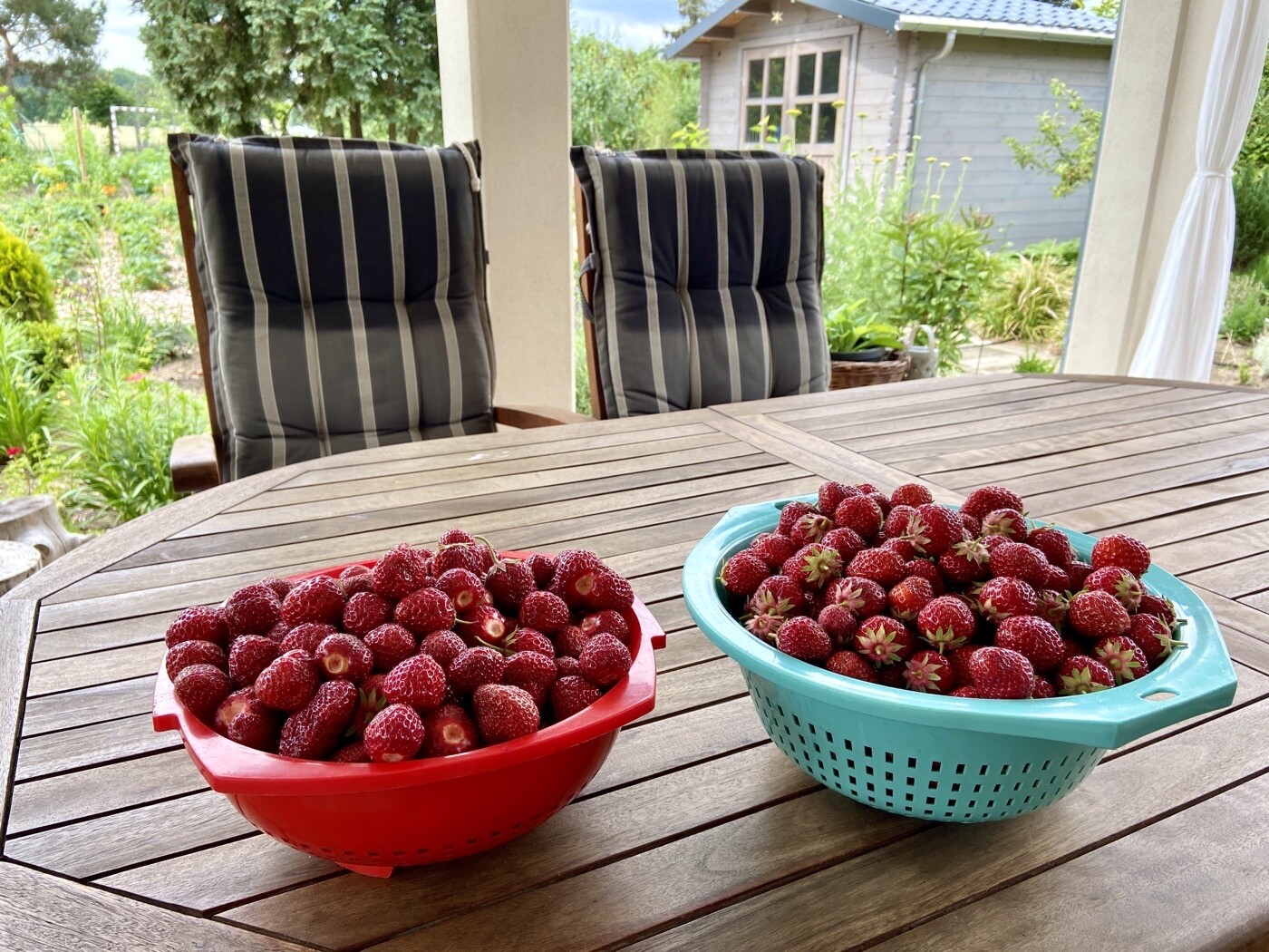 Zwei Körbe Erdbeeren auf einem Holztisch im Garten; im Hintergrund gepolsterte Stühle.