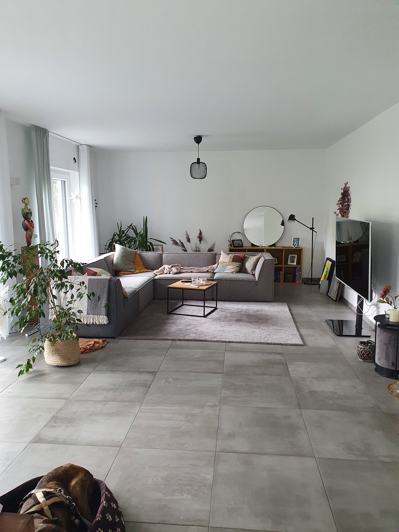 Modern living room with gray sofa, plants, coffee table, and mirror; dog in basket.