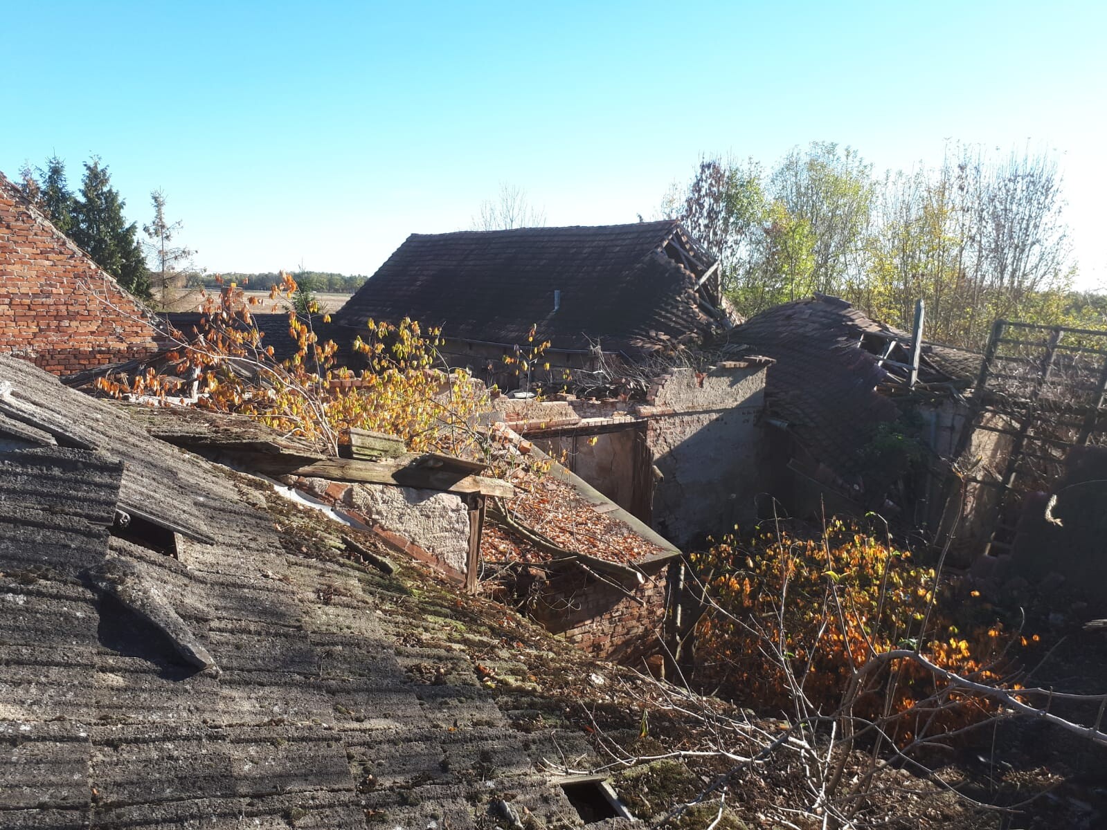Abandoned ruin of a house with collapsed roof, crumbling bricks, and autumn leaves.