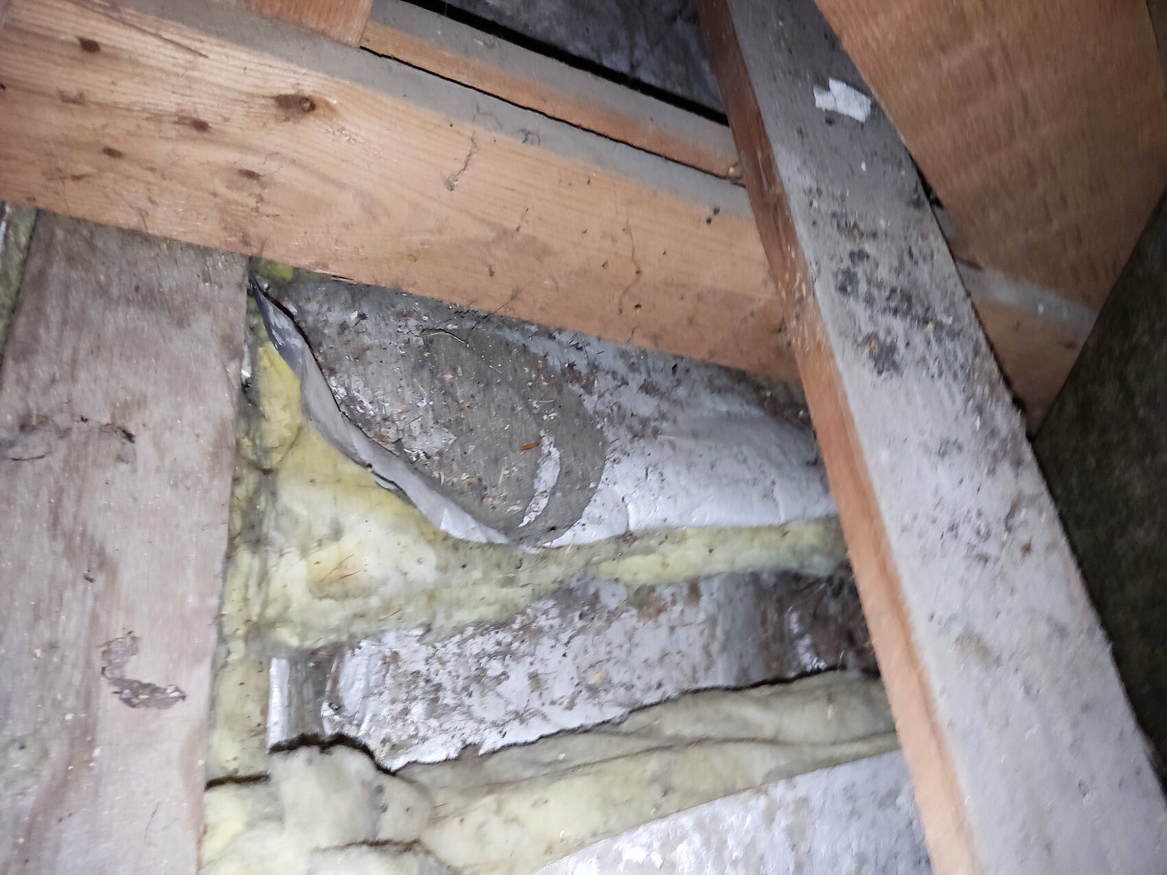 Attic with wooden beams, yellow insulation wool and dusty space in between.