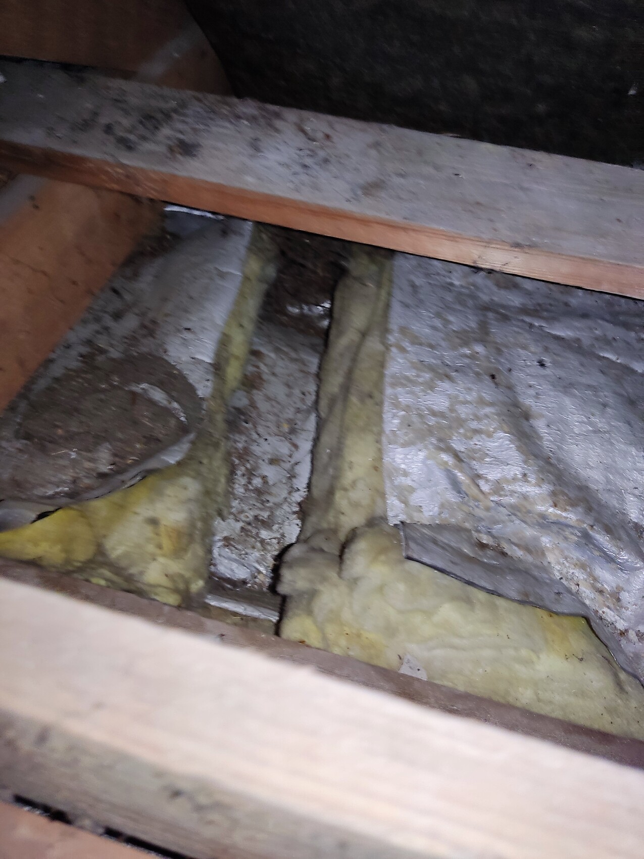 Underside of an attic with yellow mineral wool between wooden beams; dusty and damp.