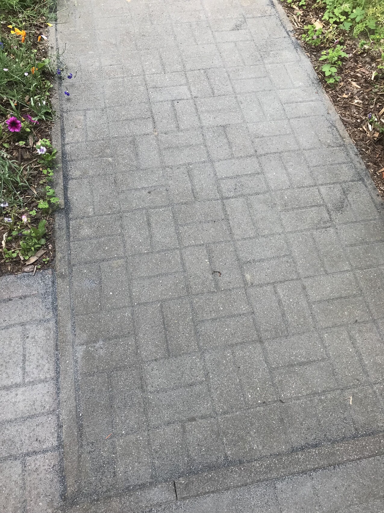 Paved walkway made of gray paving stones, flanked by colorful flower beds.