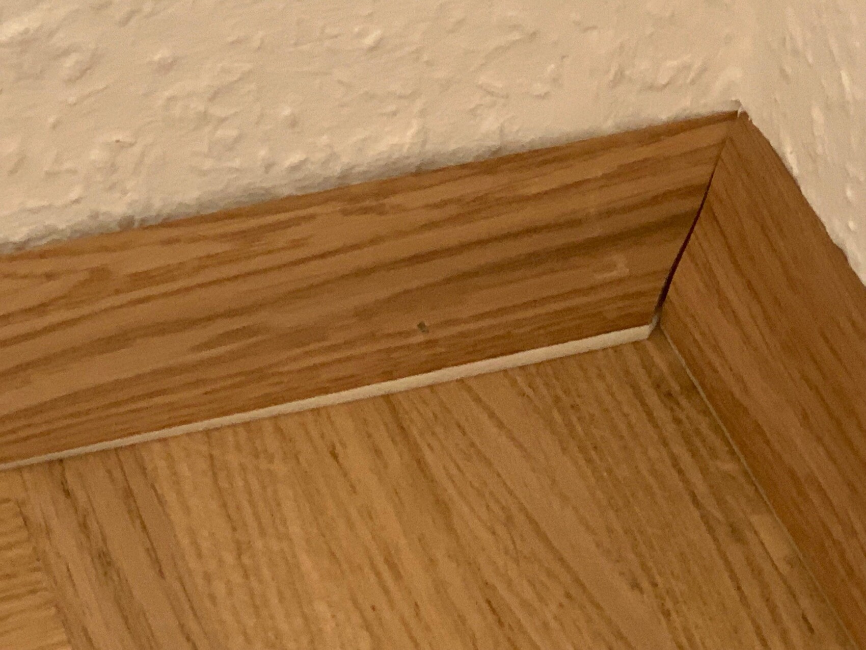 Corner area of a room with wooden floor, wooden baseboard, and white molding edge on the wall.