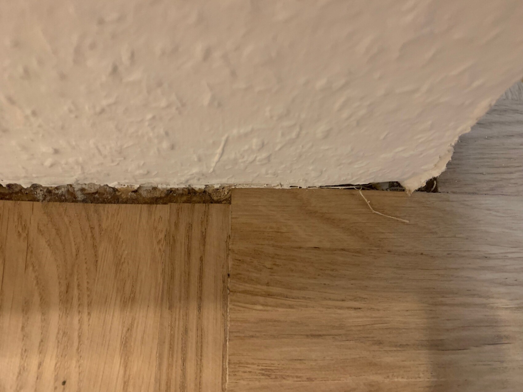 Close-up: wooden floor next to rough plaster wall, small gap and fiber residues visible.