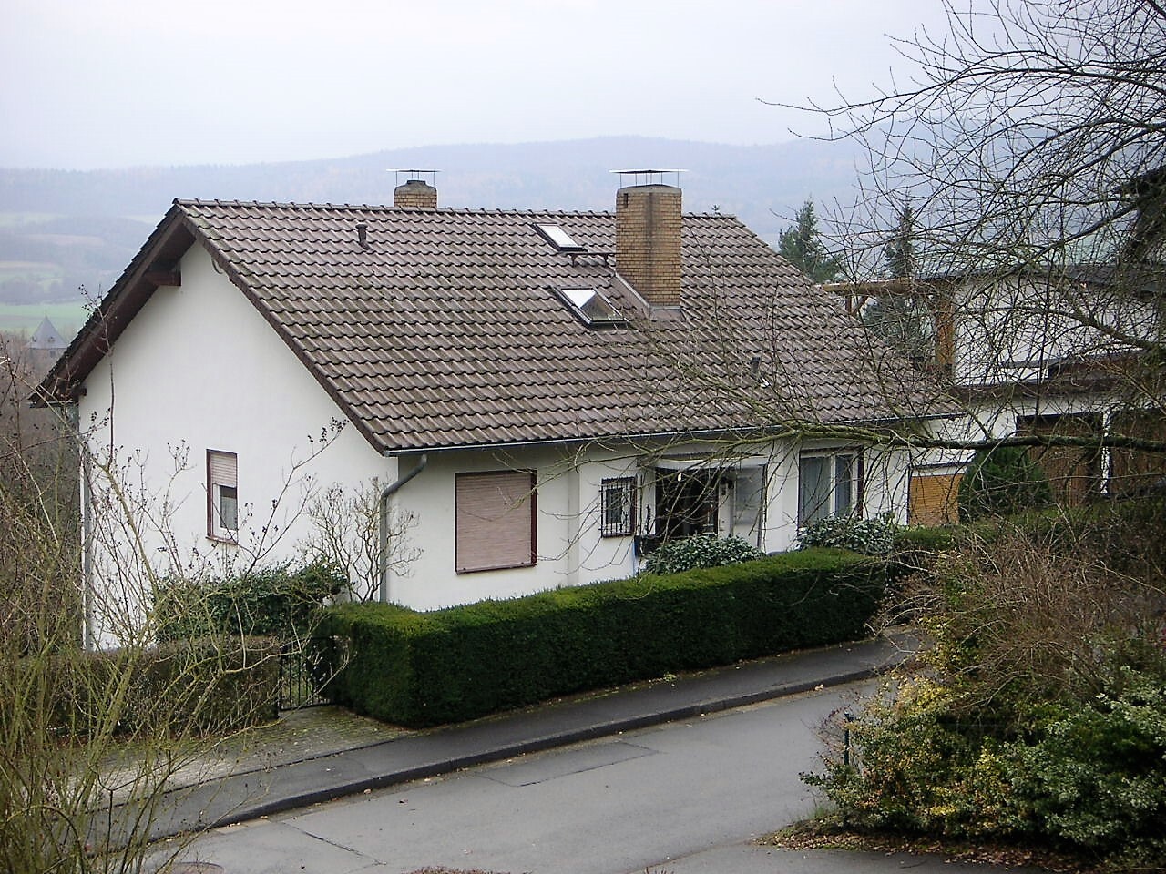 White detached house with brown tiled roof, chimneys, skylights, and hedge along the street.