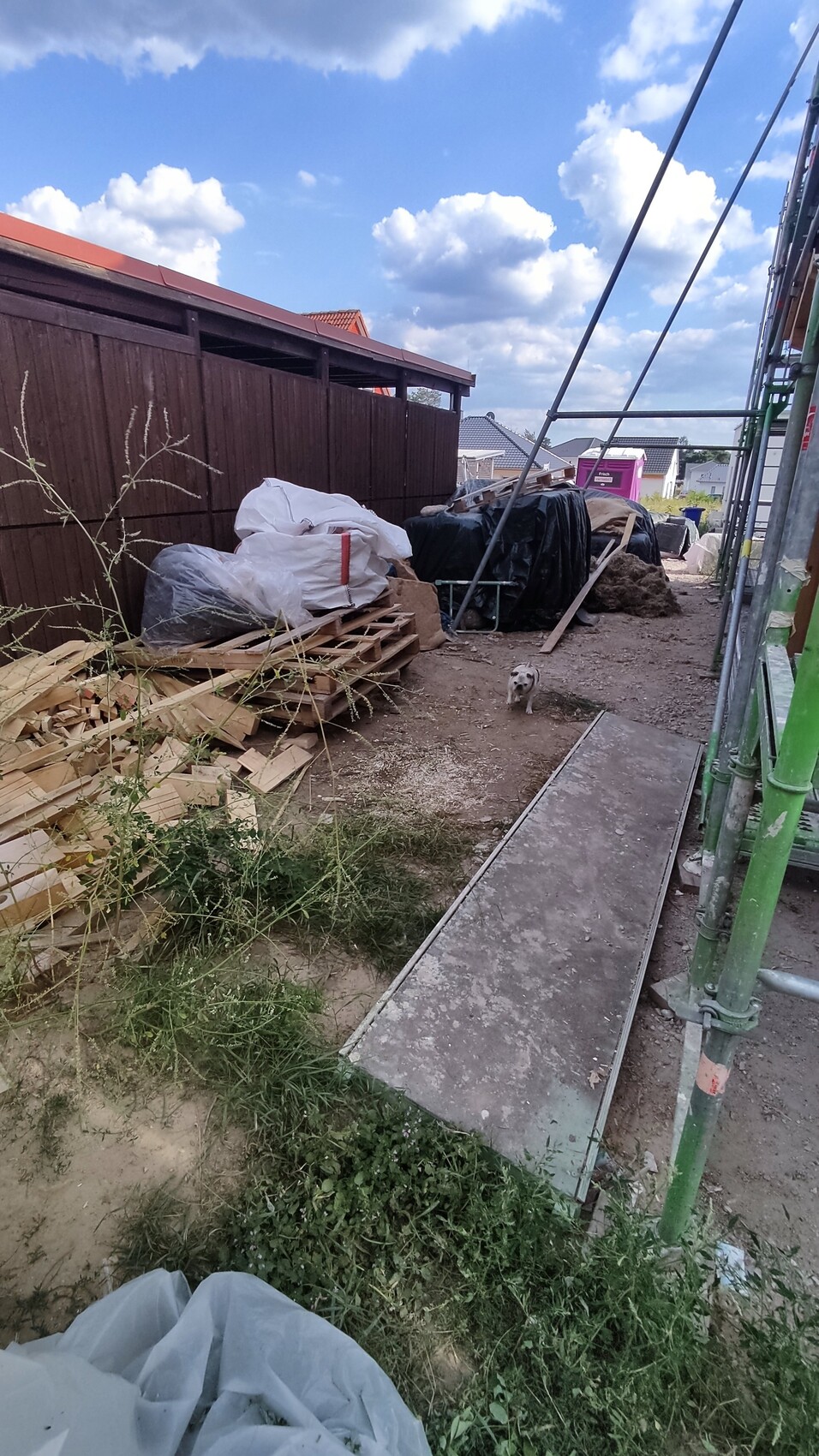 Construction site in the garden: stacked wood, pallets, tarps, scaffolding, dog walking along the path.