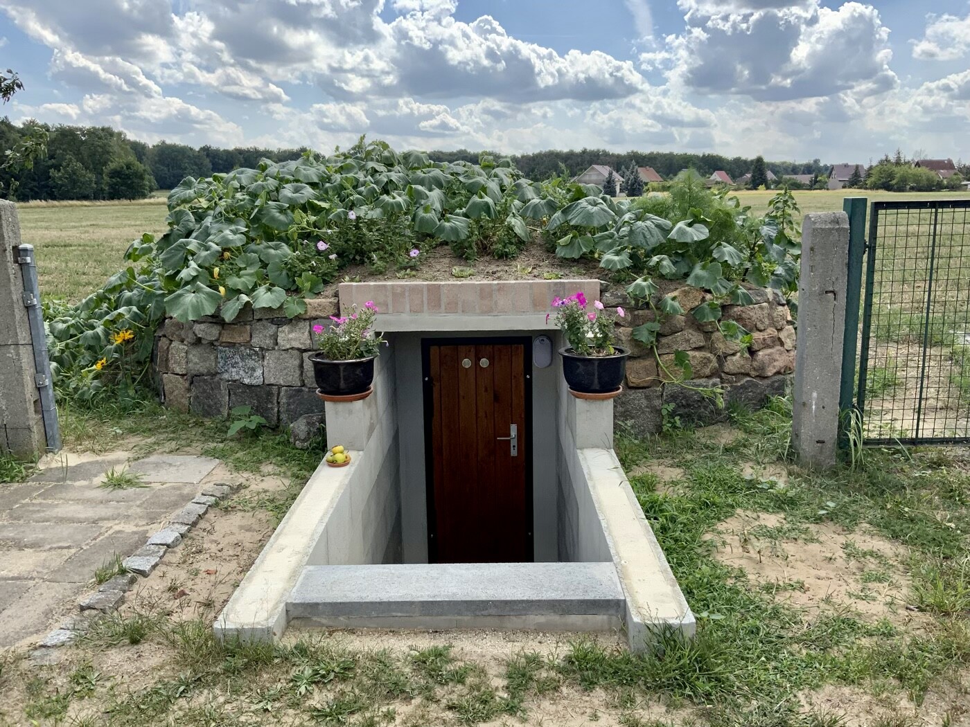 Exterior entrance to the cellar with stone wall, door at the descent, flowers in planters.
