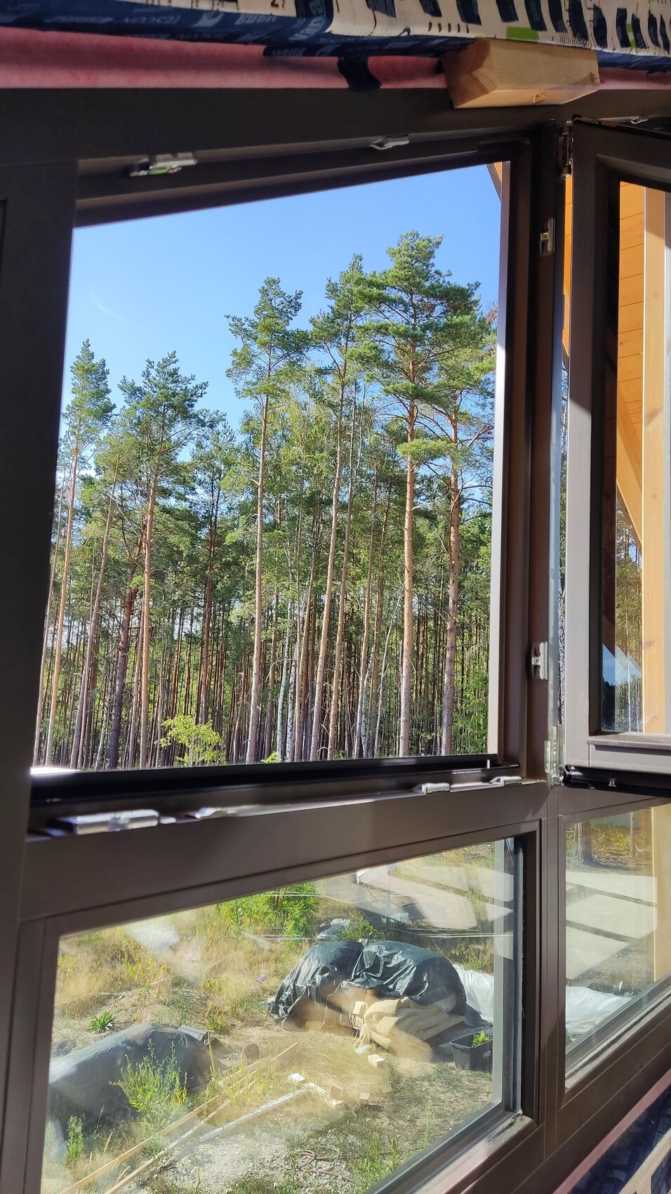 Open window looking out onto tall pine forest; construction tools in the foreground.