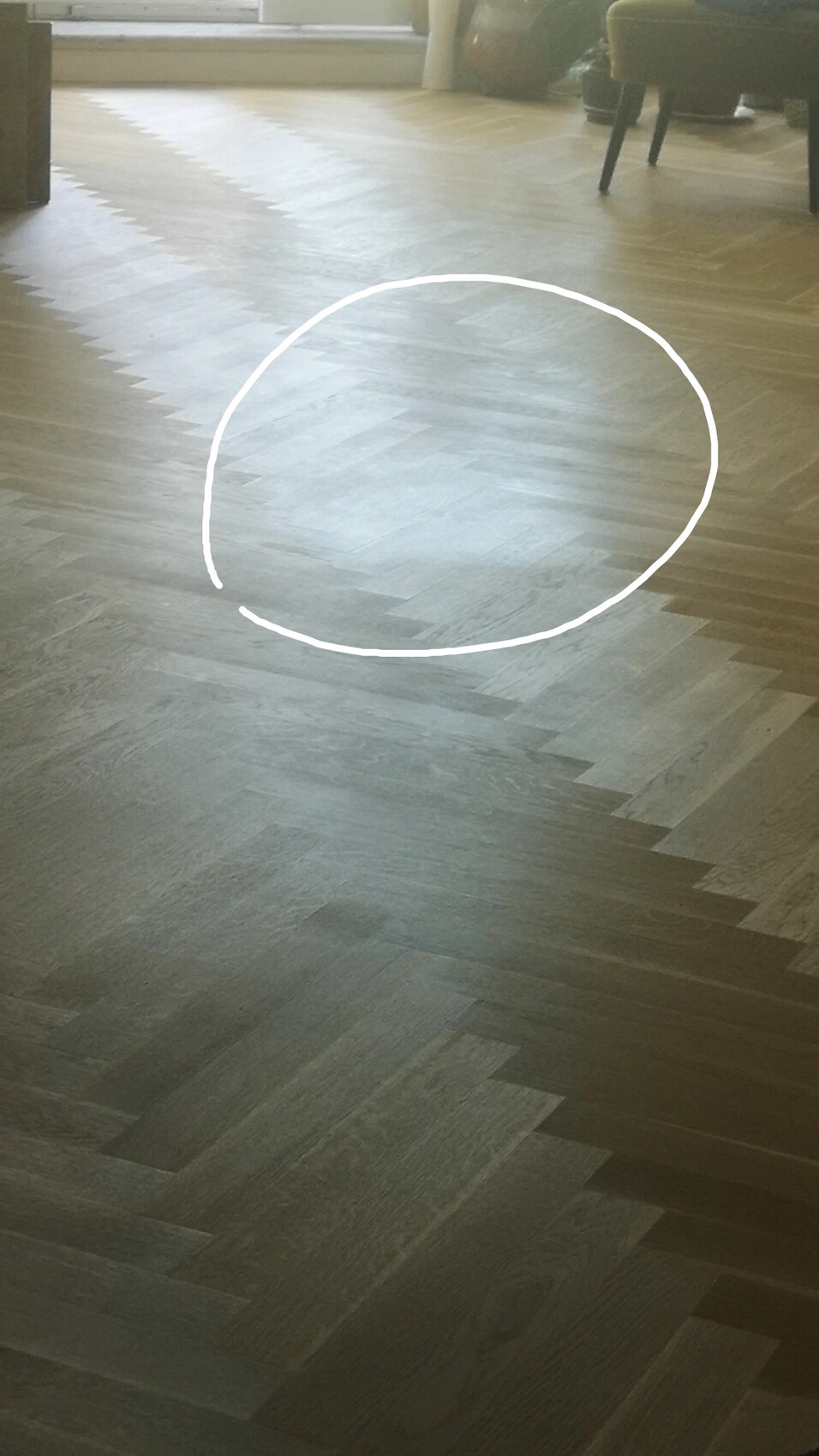Light wood floor with a white circle line as marking.