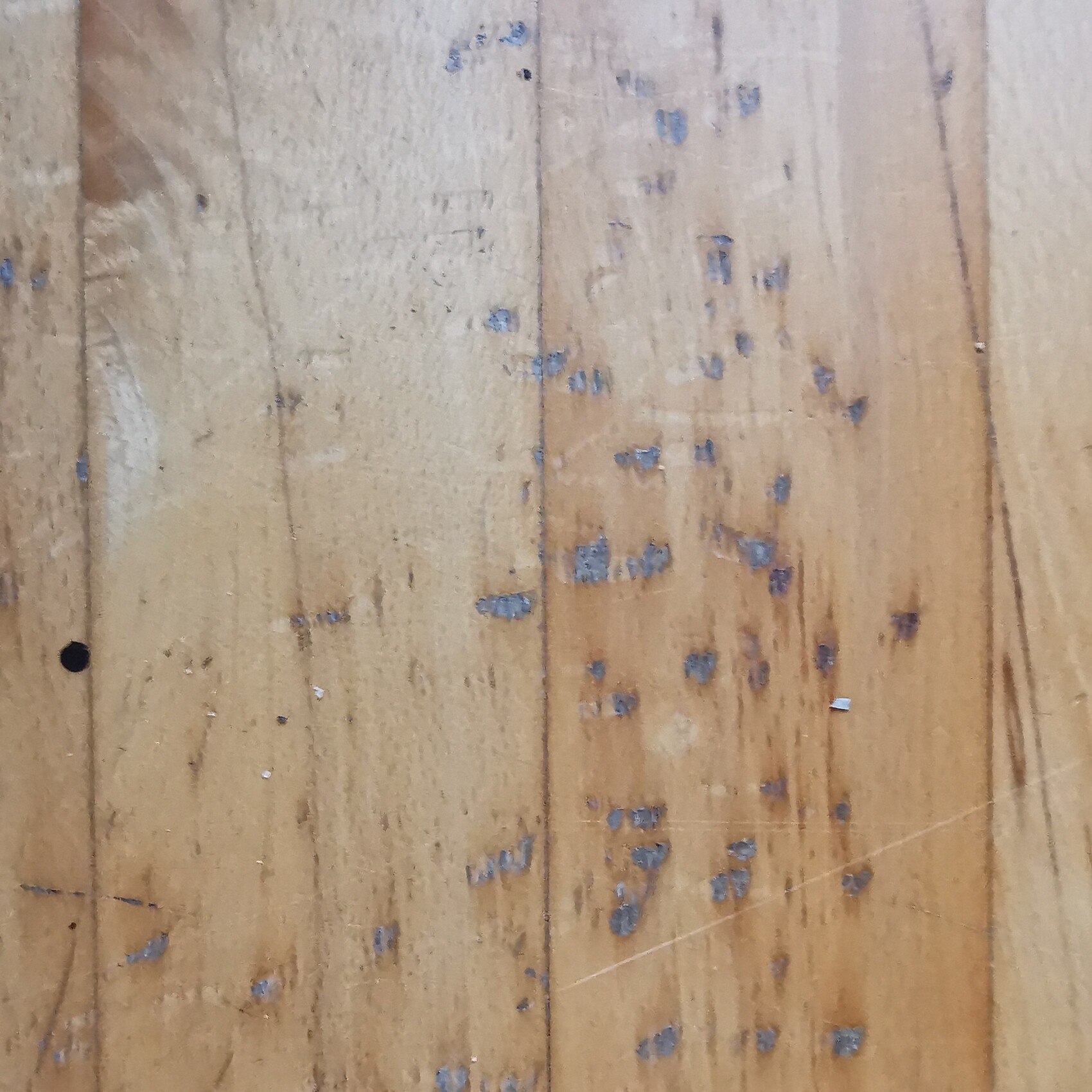 Wooden floorboards with scattered blue paint stains