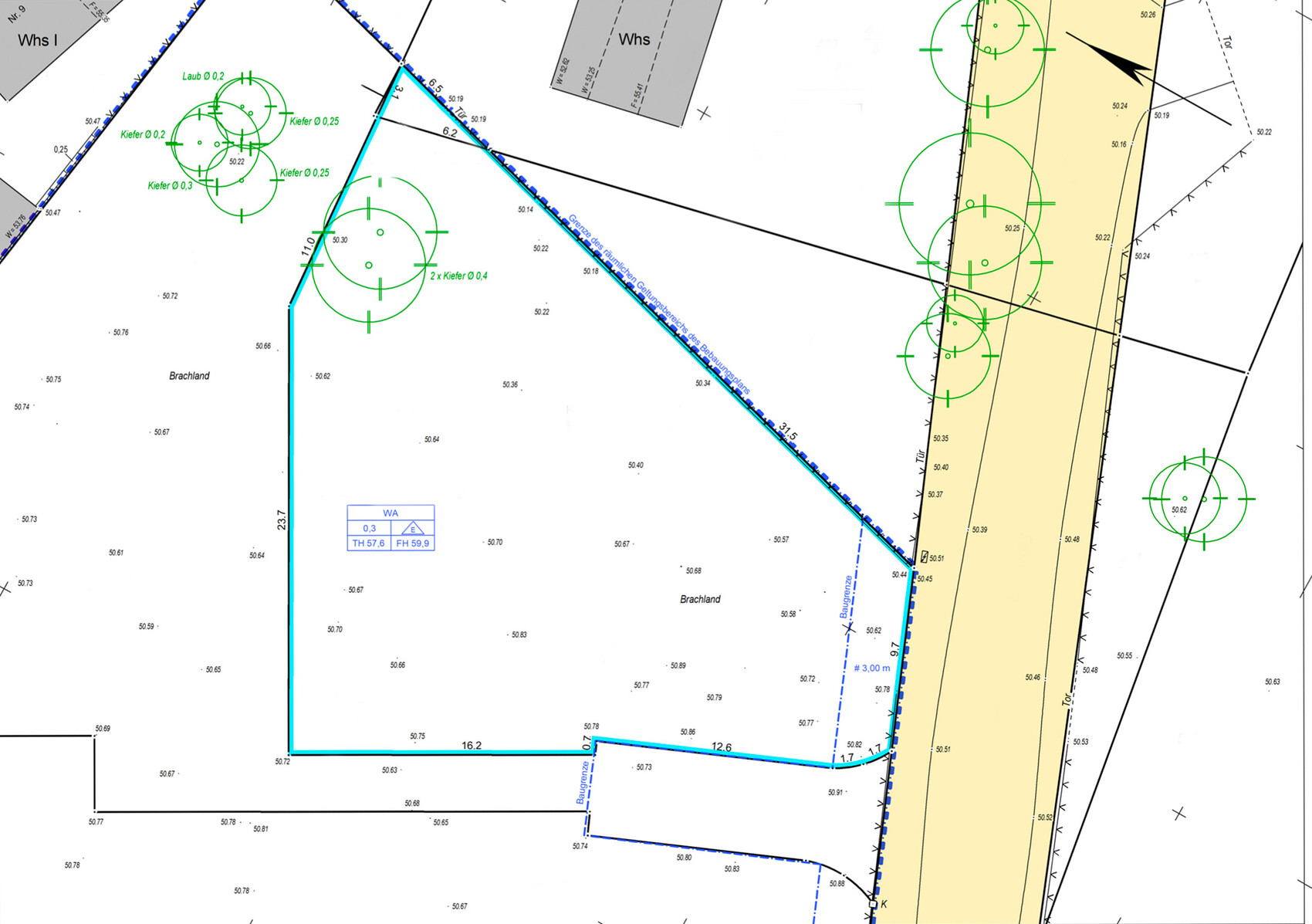 Site plan of a building plot with boundary lines, street, trees (pine, deciduous), and fallow land.