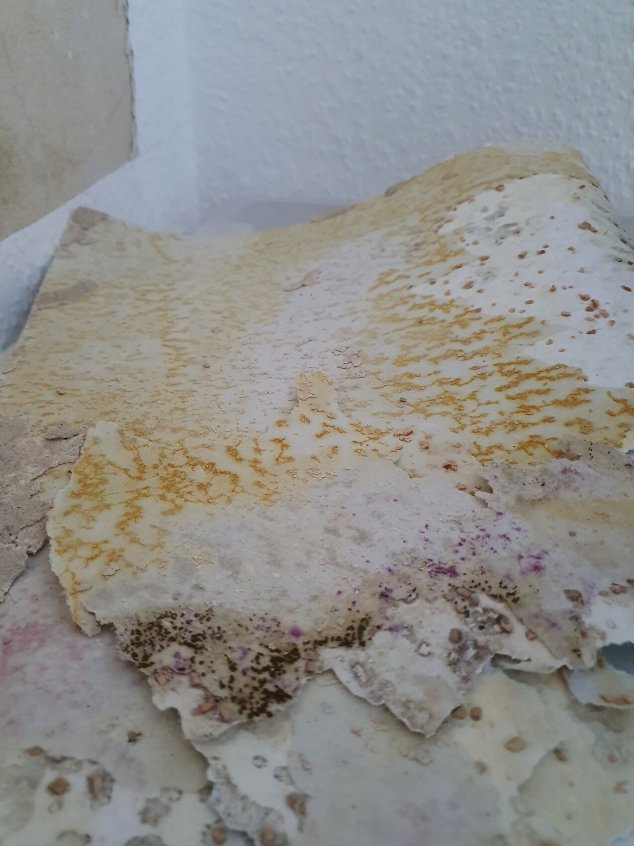 Close-up of damaged plaster with flaking and yellow stains on a wall.