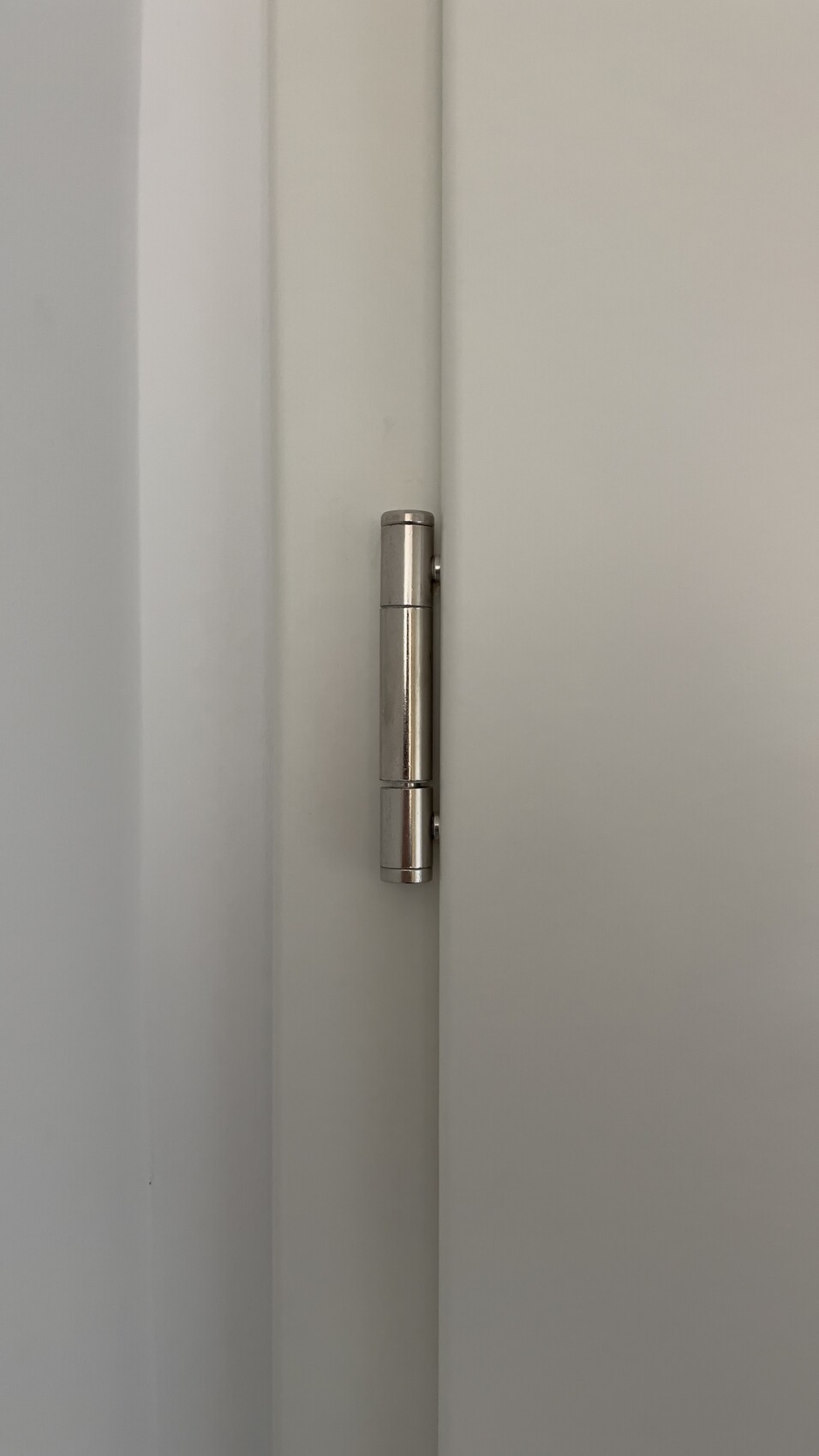 Close-up of a silver hinge on a white door.