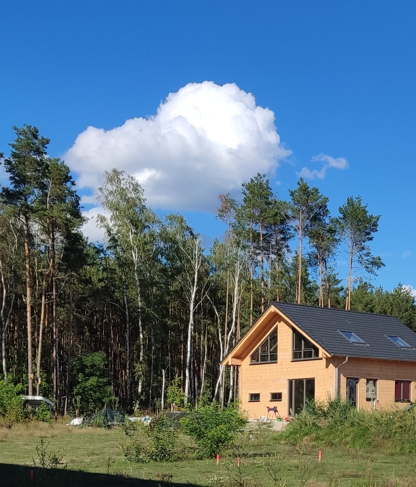 Wooden house under construction at forest edge, blue sky with cloud, large windows, trees in the background.