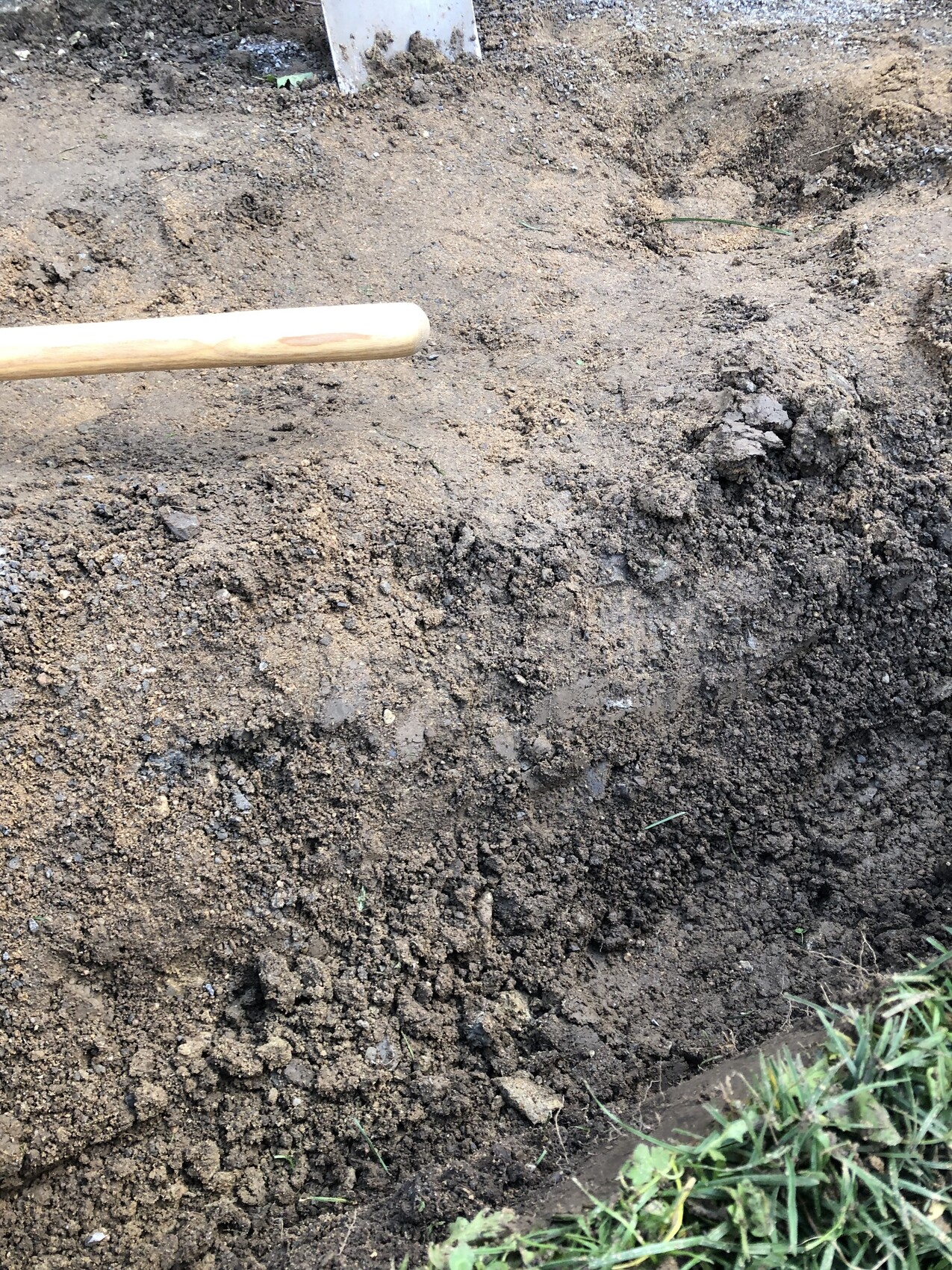 Freshly dug soil with wooden shovel handle, grass at edge.