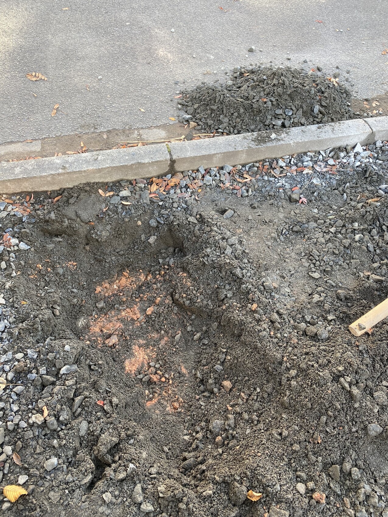 Pit with loose soil and gravel next to curb on sidewalk