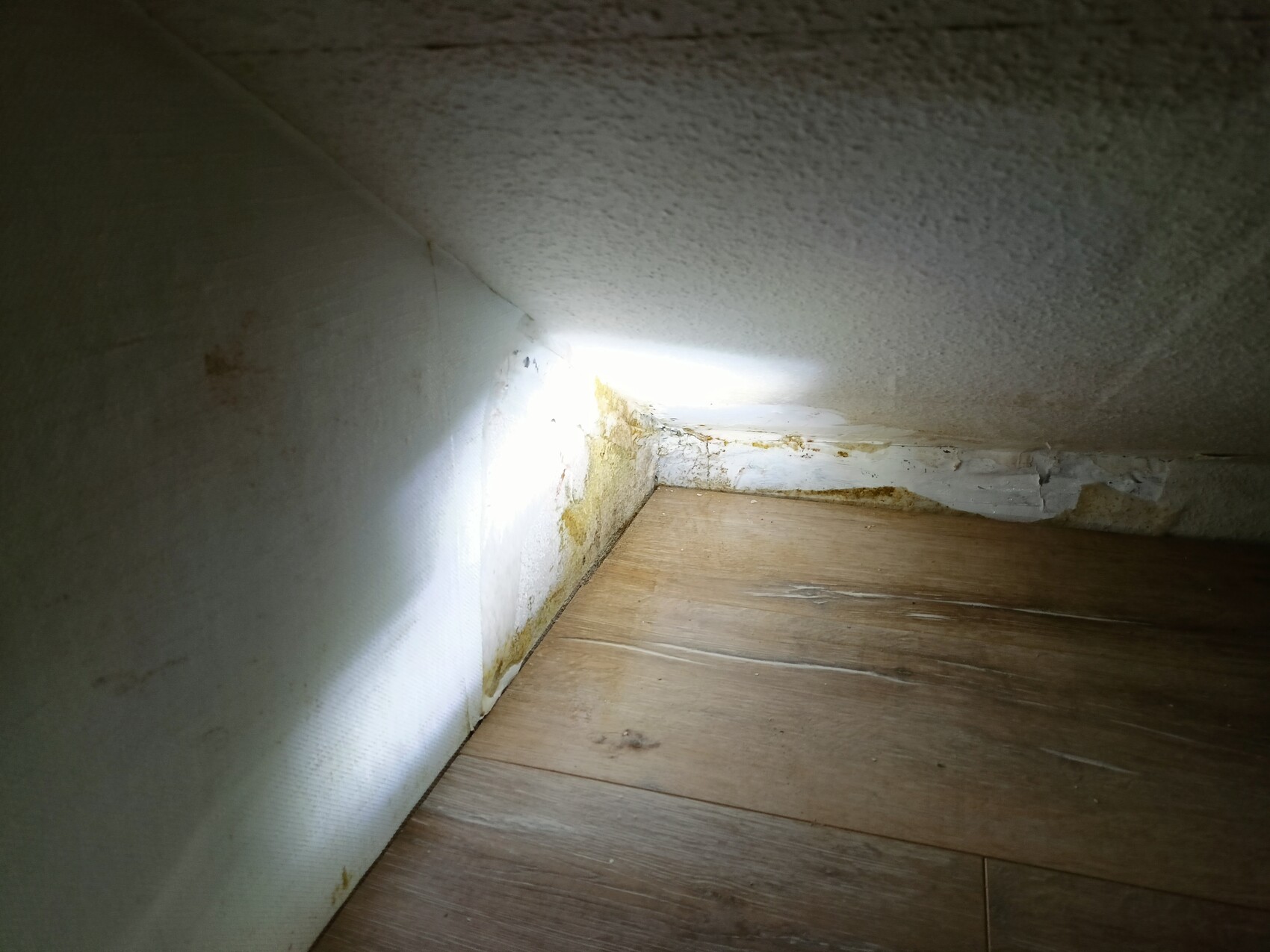 Corner with wooden floor, white wall, brown moisture and mold stains; beam of light.