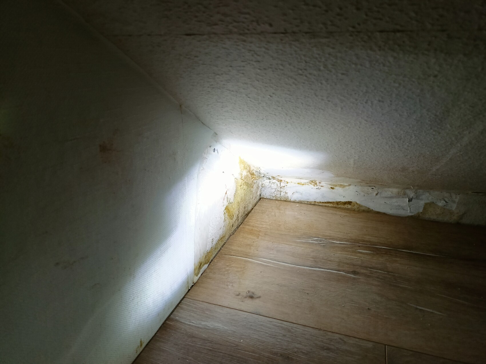 Narrow corner under the roof, wooden floor, mold on the wall and baseboard, bright light from the right.