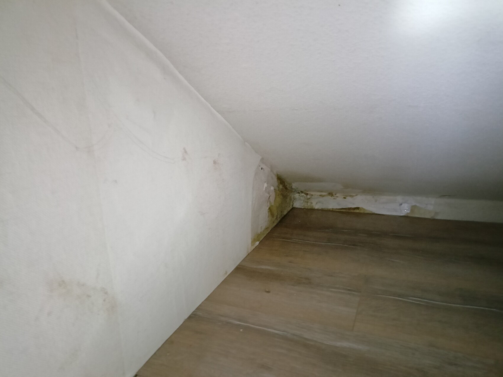 Tight attic corner with sloping ceiling, wooden floor, and mold stains on the wall.